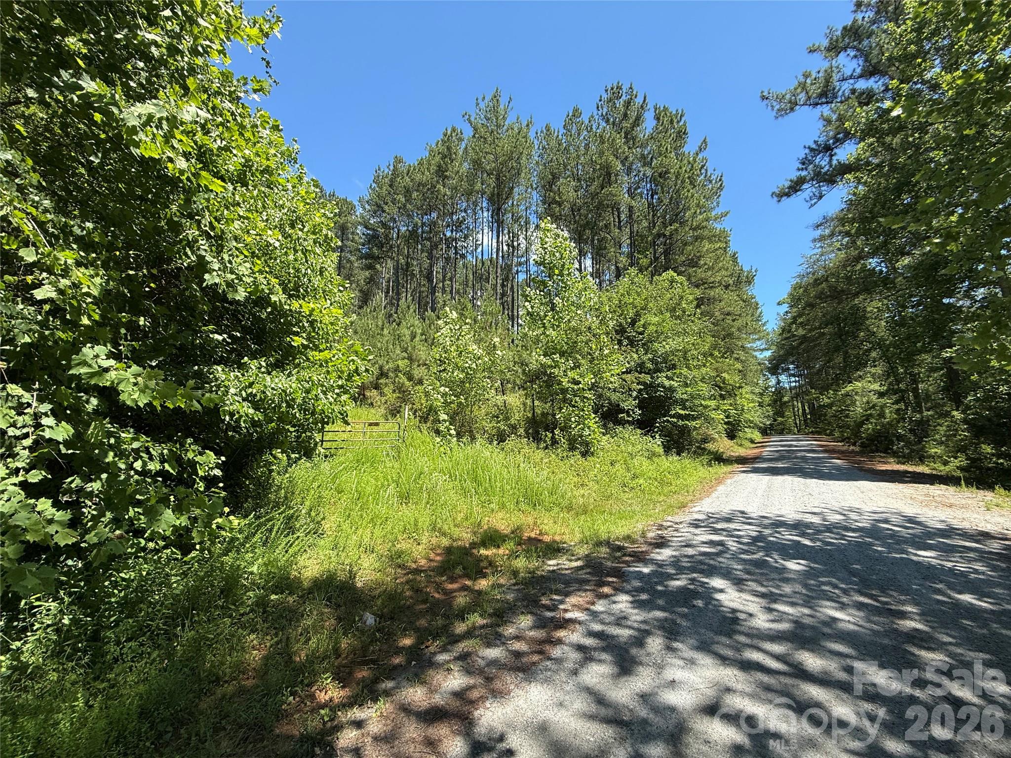 99999 Thompson Lake Road Property Photo 7