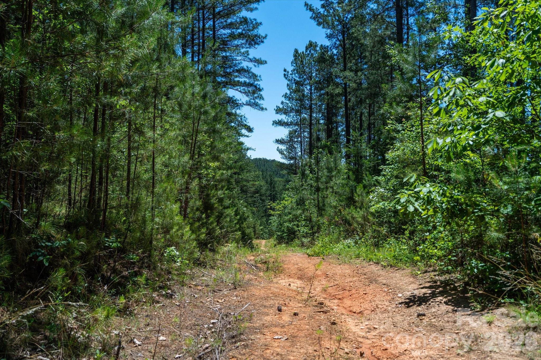 99999 Thompson Lake Road Property Photo 15
