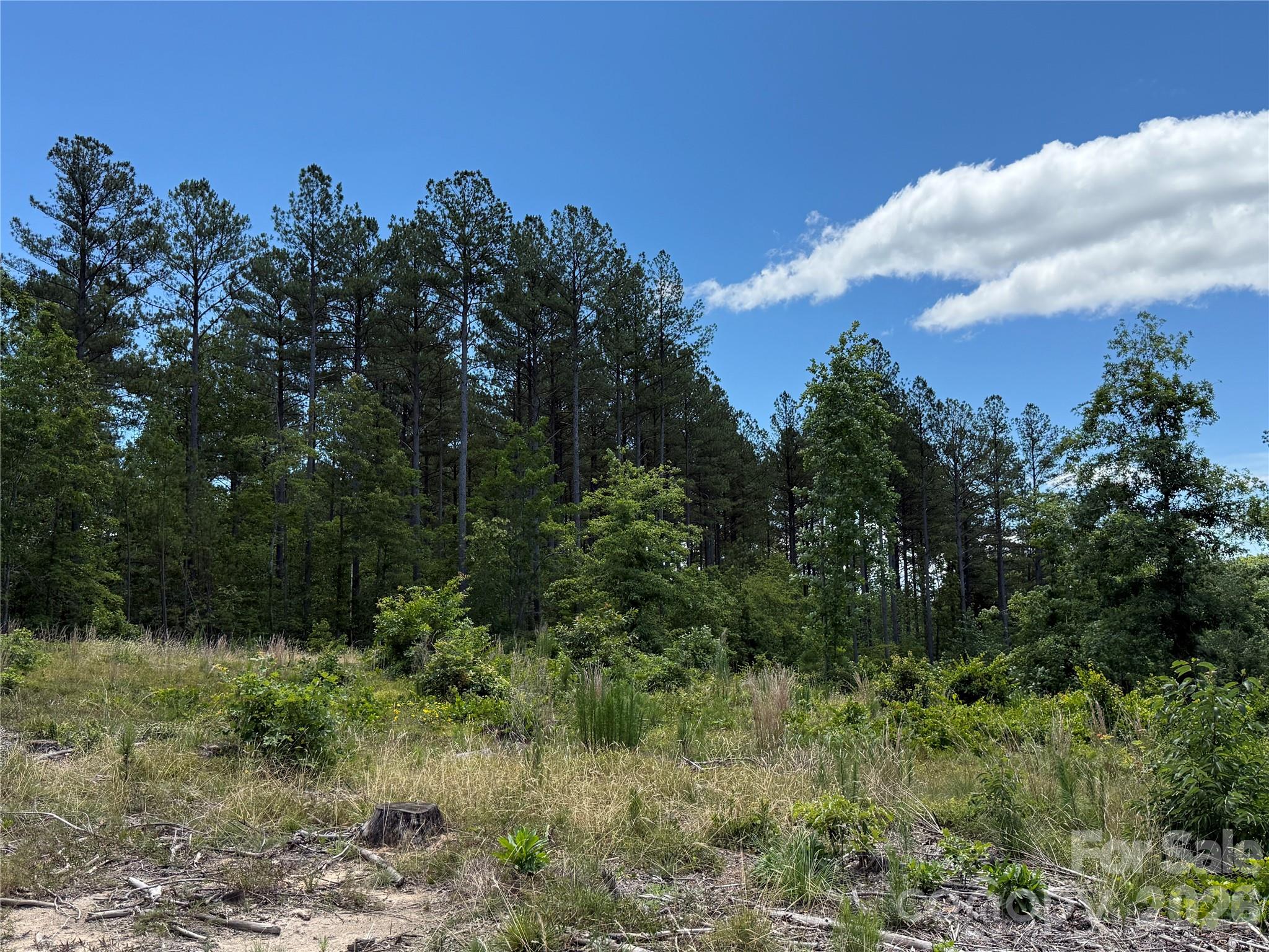 9999 Clark Road Property Photo 14