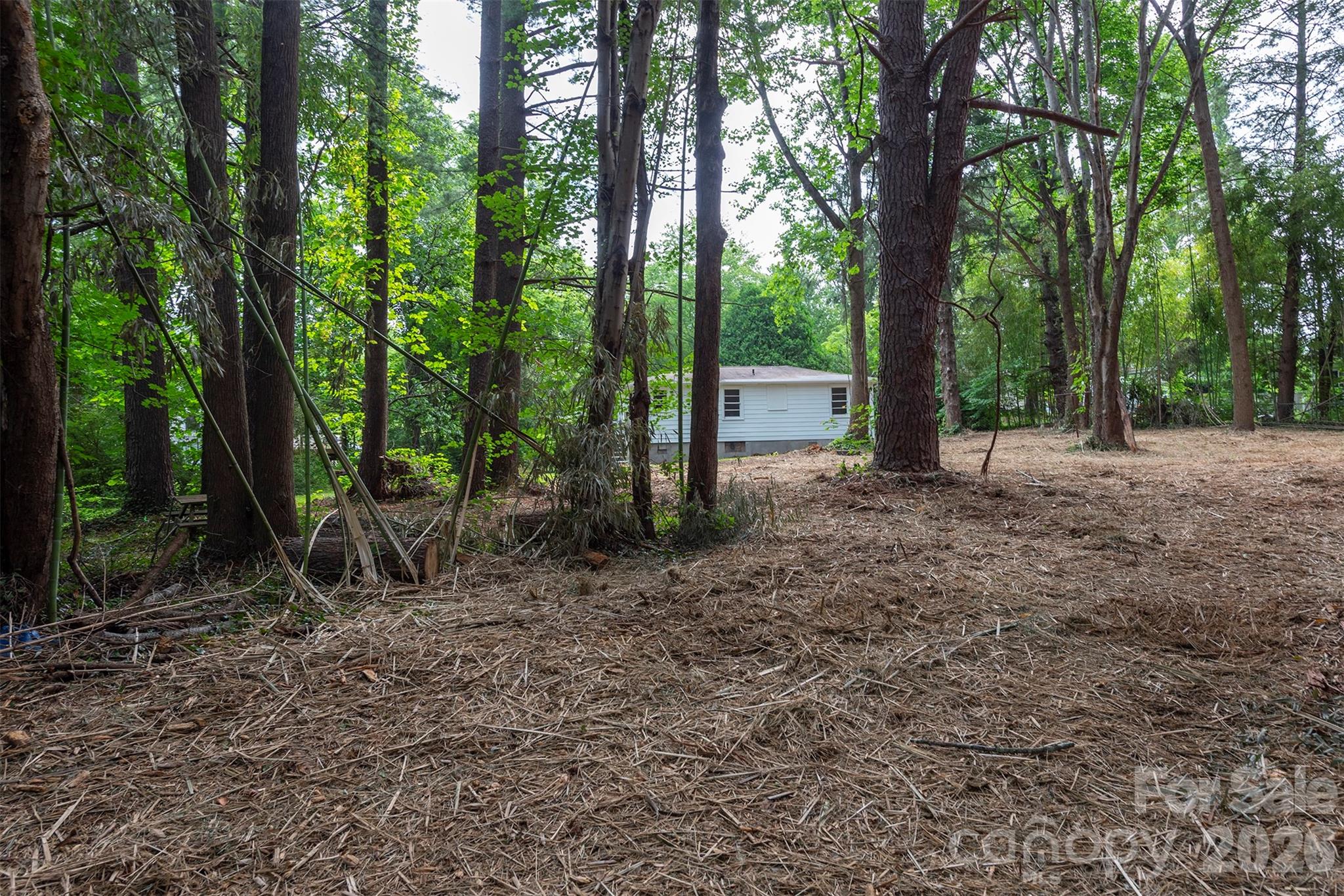 215 Merchant Street 2 Property Photo 7