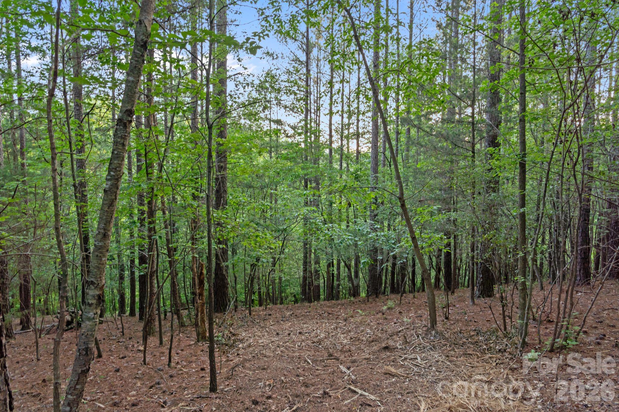 0000 Lucy Short Cut Road 2 Property Photo 33