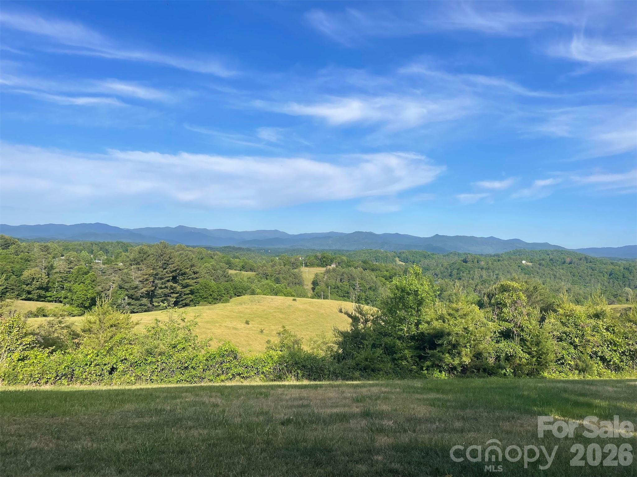 1091 Windswept Ridge Road Property Photo 6