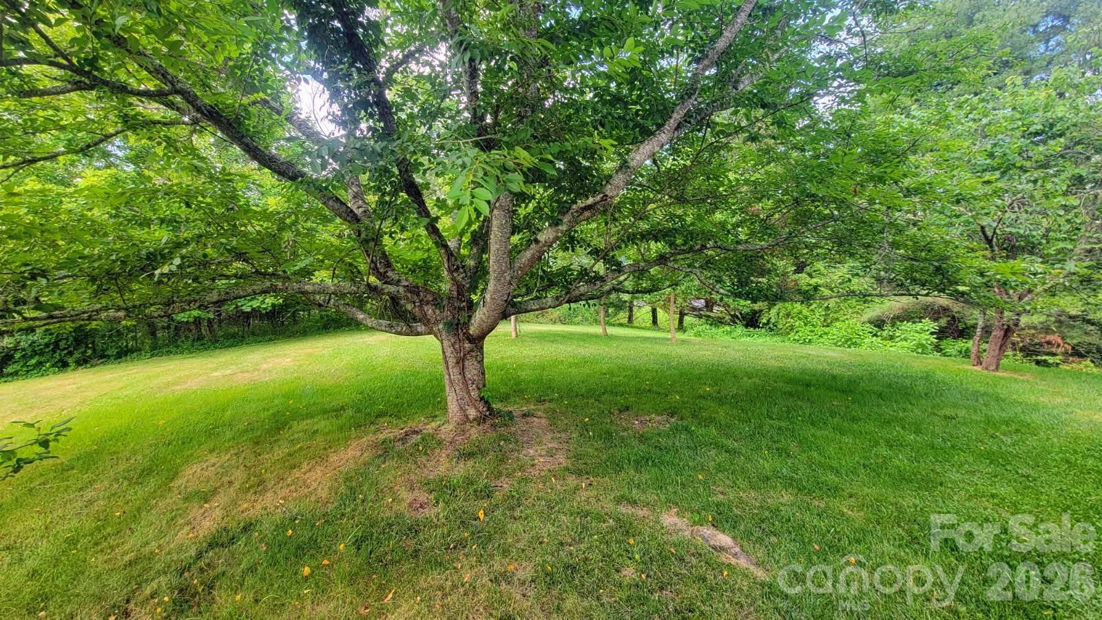 1091 Windswept Ridge Road Property Photo 41