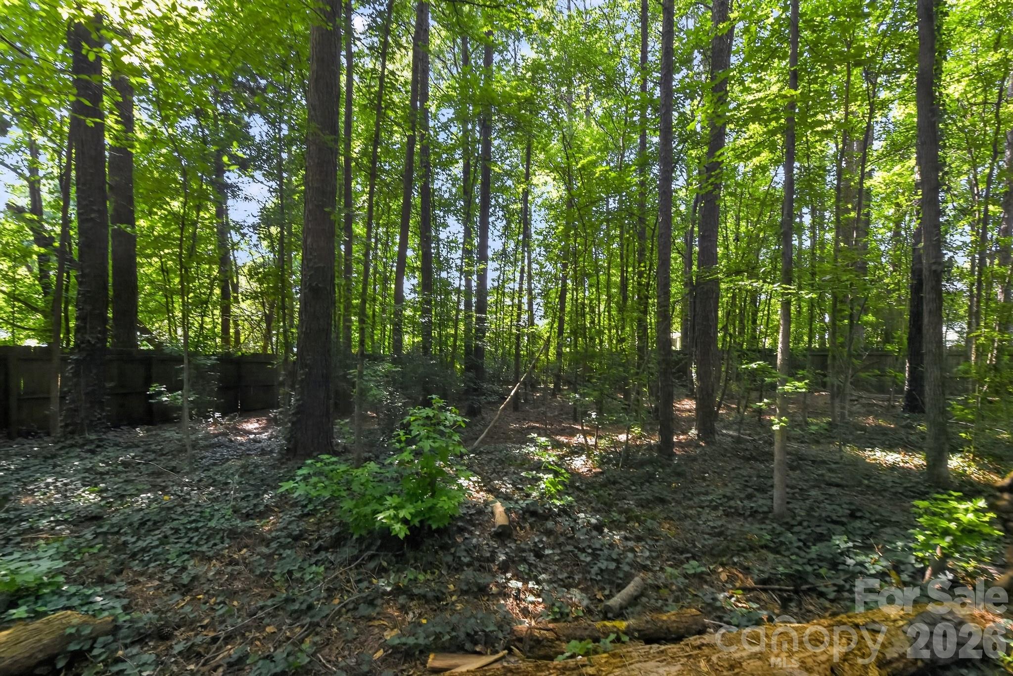 1306 Cool Mist Court Property Photo 4