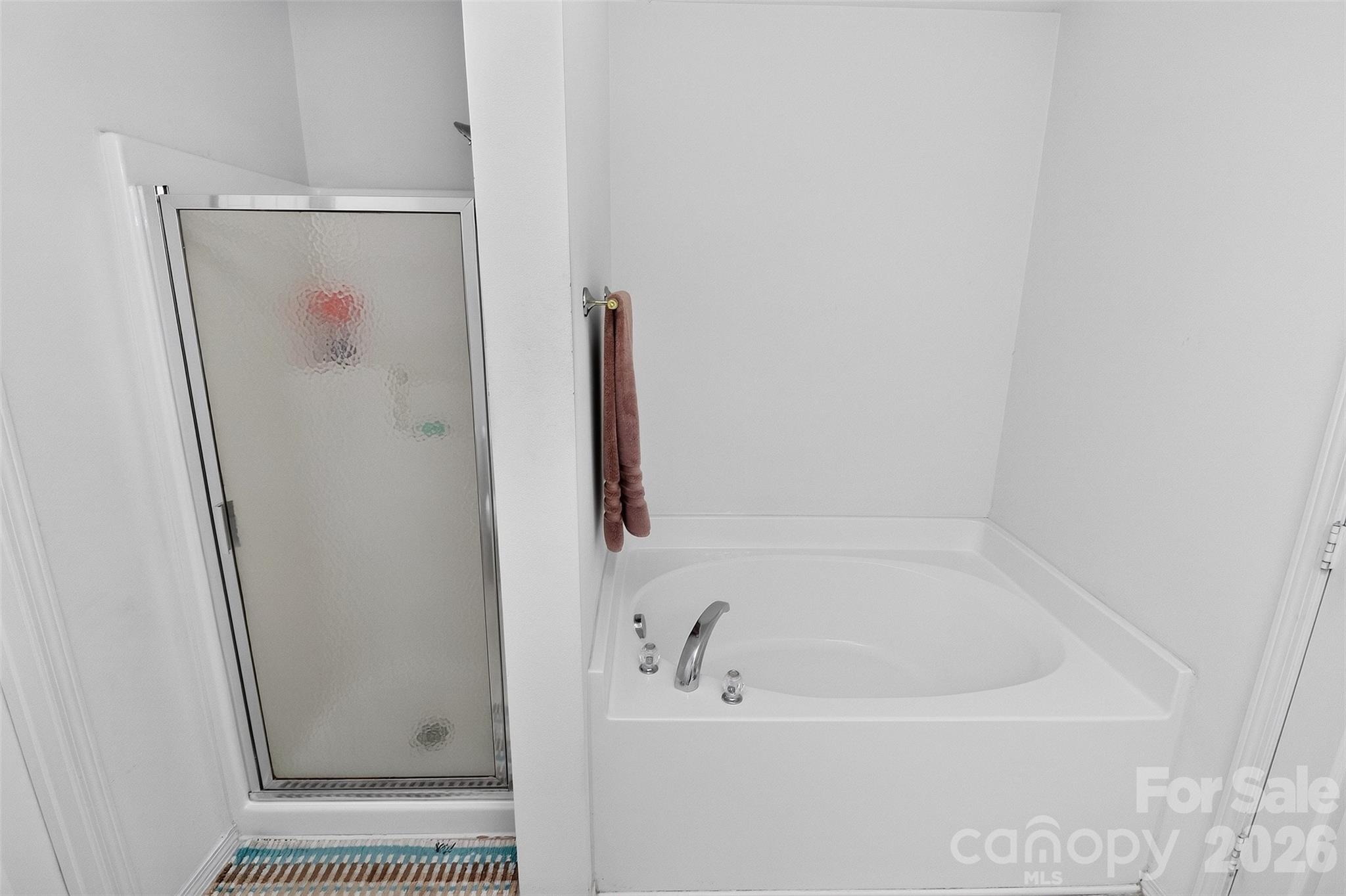 10825 Dry Stone Drive Property Photo 22