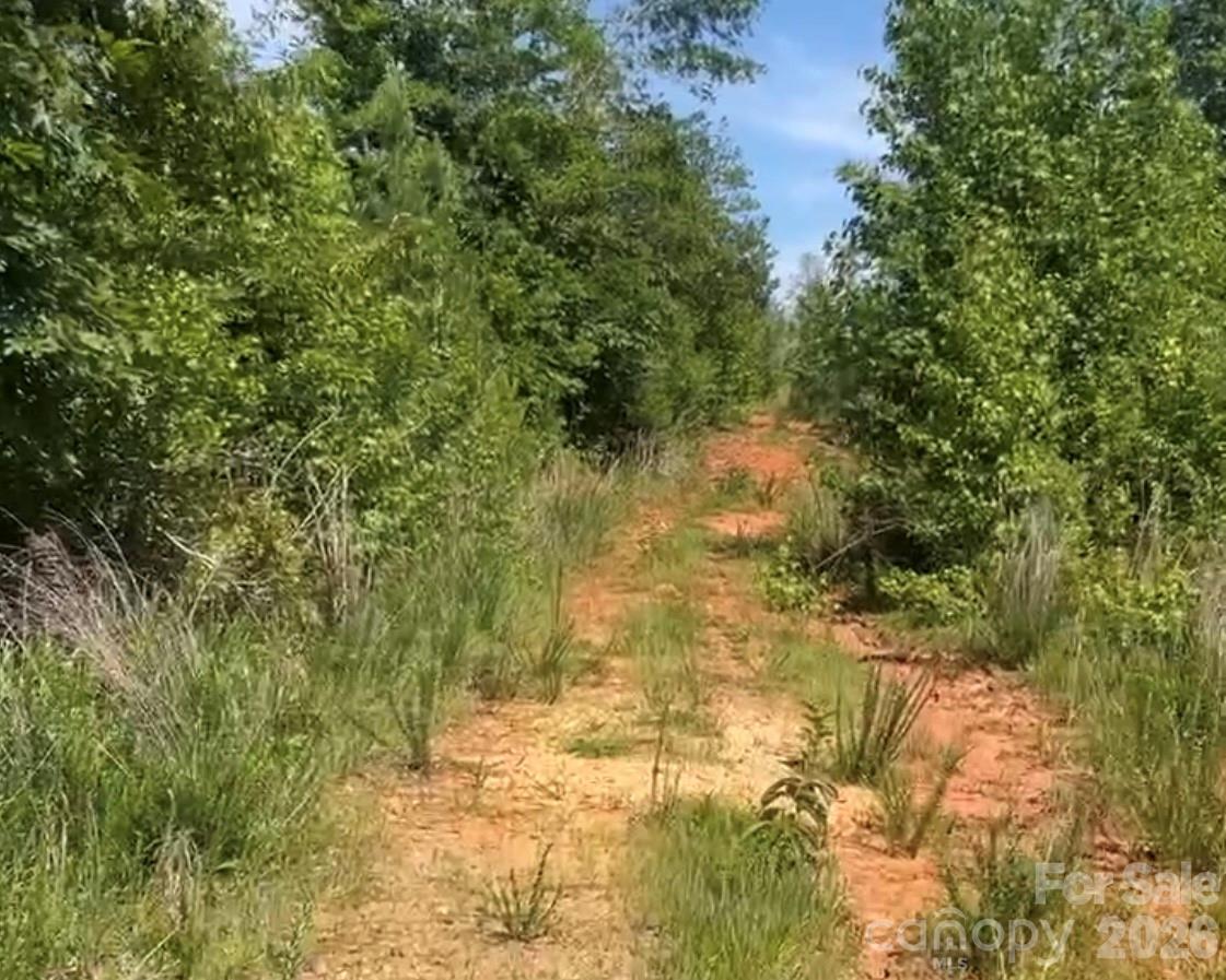 000 Promise Pride Drive Property Photo 3