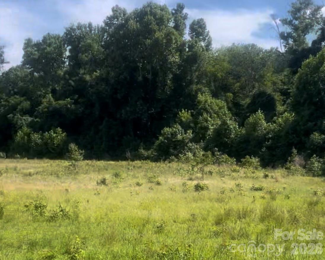 000 Promise Pride Drive Property Photo 6