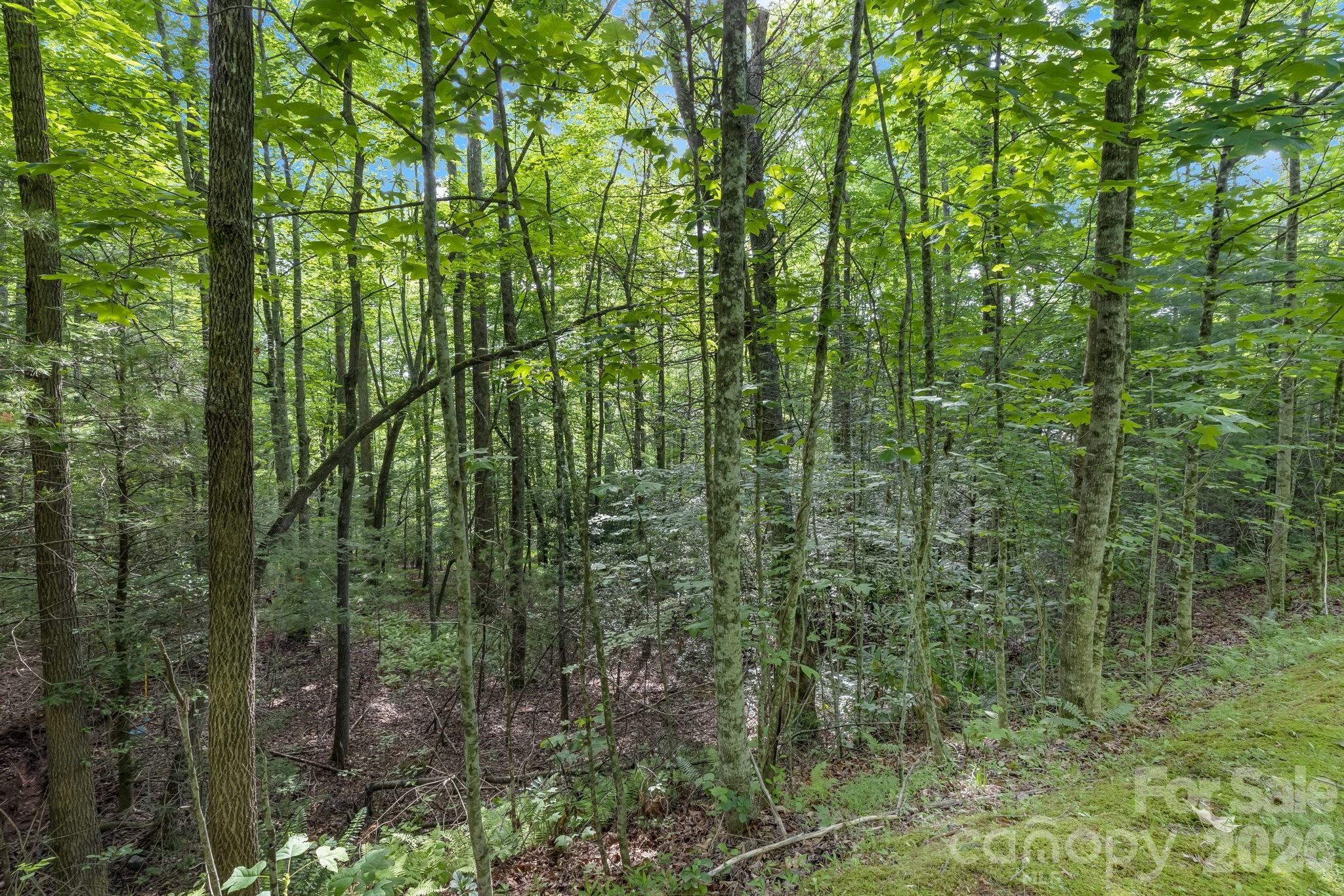 Tbd Allison Creek Trail A5 Property Photo 18