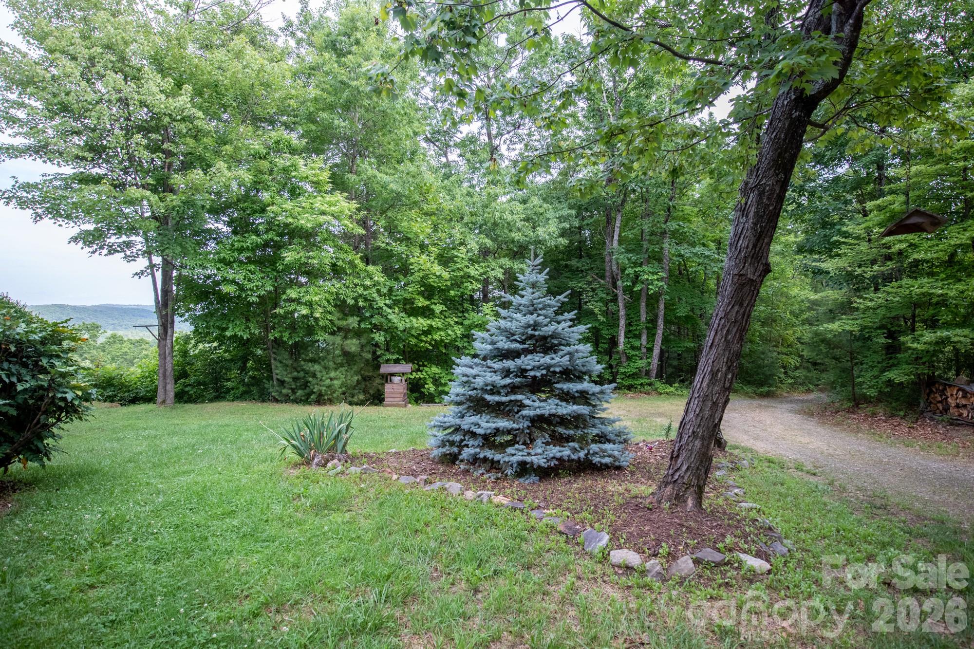 1639 Mountain Vista Drive Property Photo 6