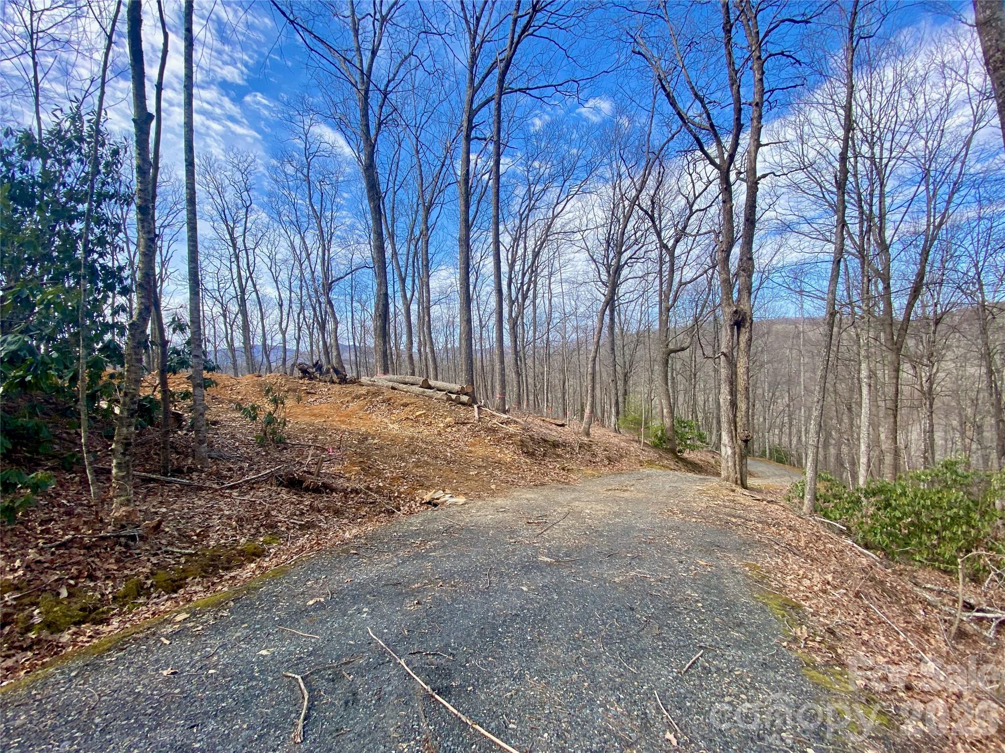Tbd Old Chestnut Mountain Road Property Photo 1