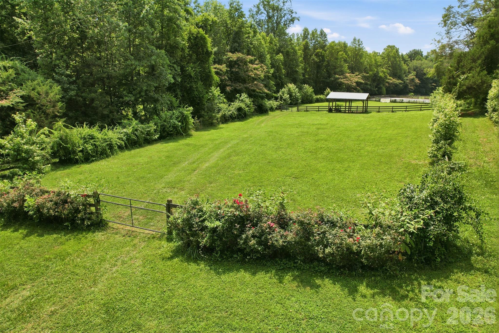 811 Butter Street Property Photo 39