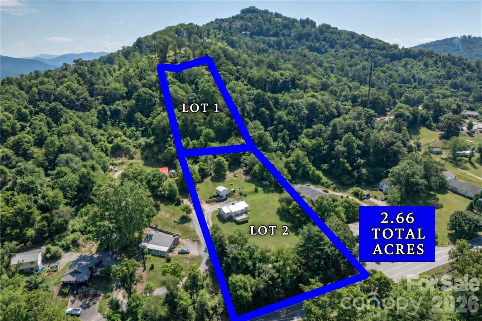 415 Weaverville Road 59 1/2 Pt 59 & Pt 60 Property Photo 3