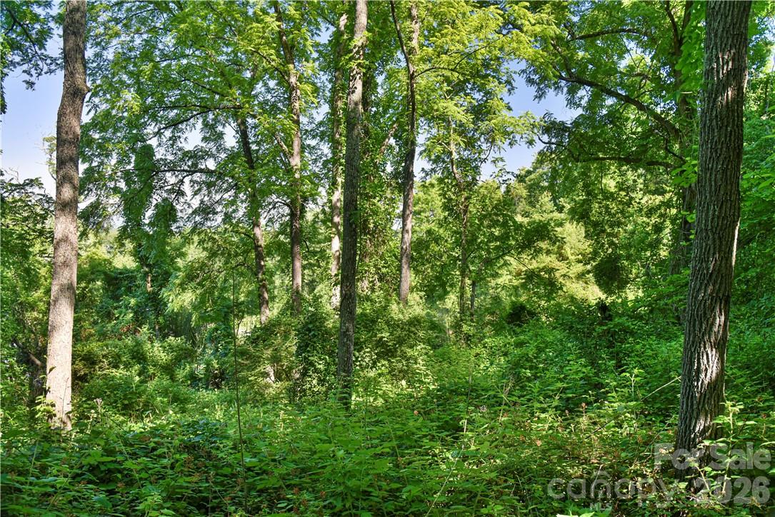 415 Weaverville Road 59 1/2 Pt 59 & Pt 60 Property Photo 23