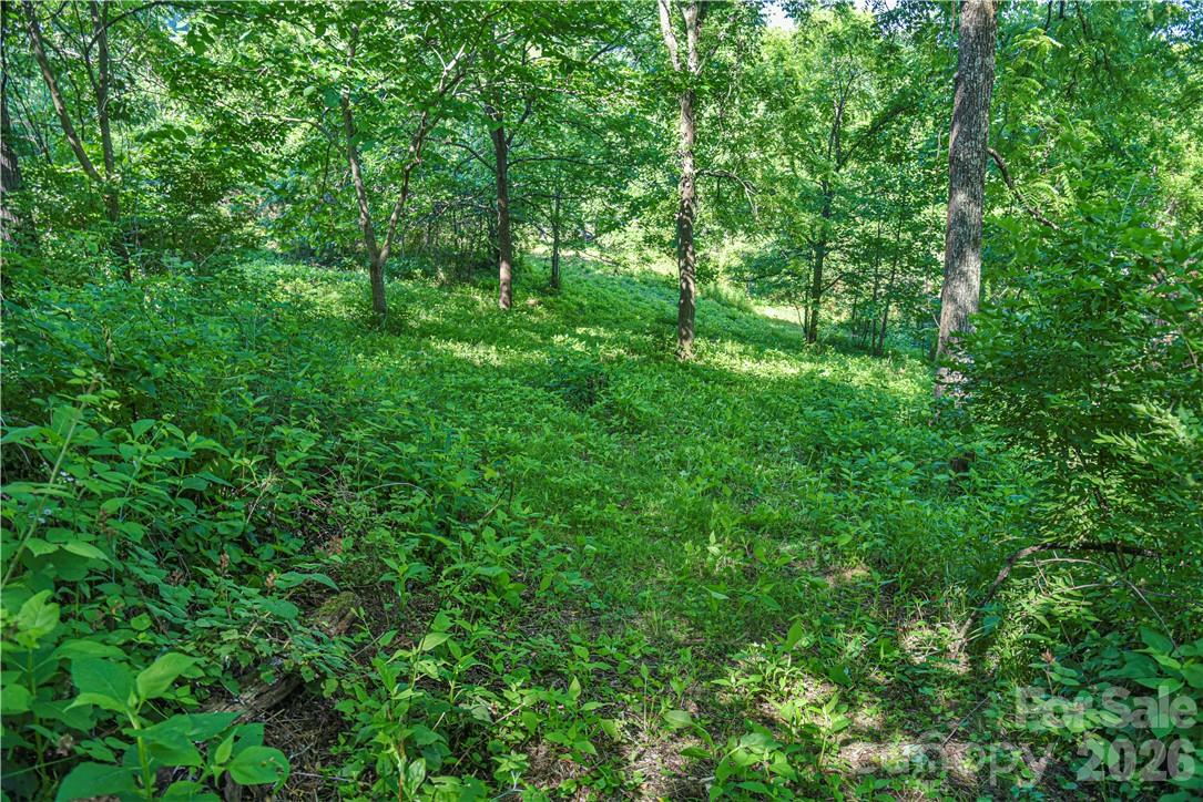 415 Weaverville Road 59 1/2 Pt 59 & Pt 60 Property Photo 24