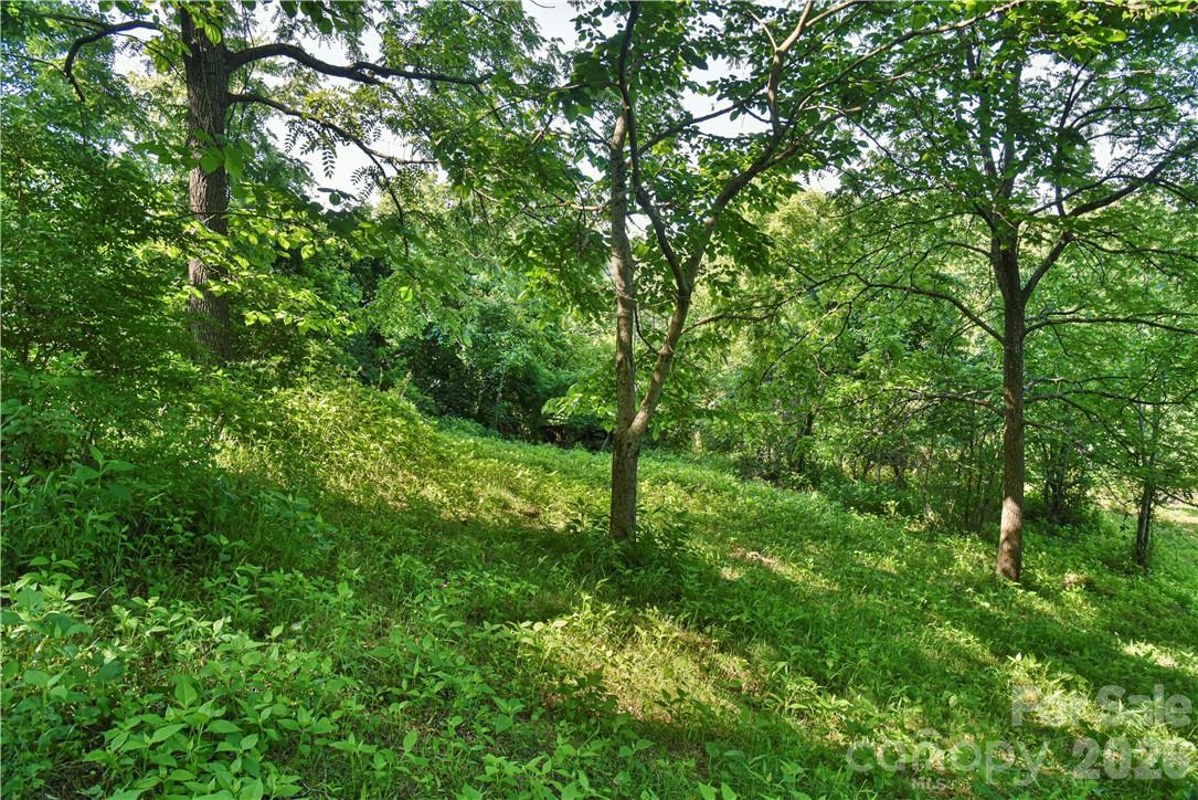 415 Weaverville Road 59 1/2 Pt 59 & Pt 60 Property Photo 25