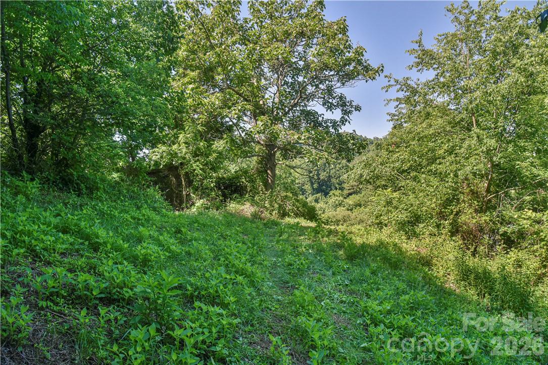 415 Weaverville Road 59 1/2 Pt 59 & Pt 60 Property Photo 26