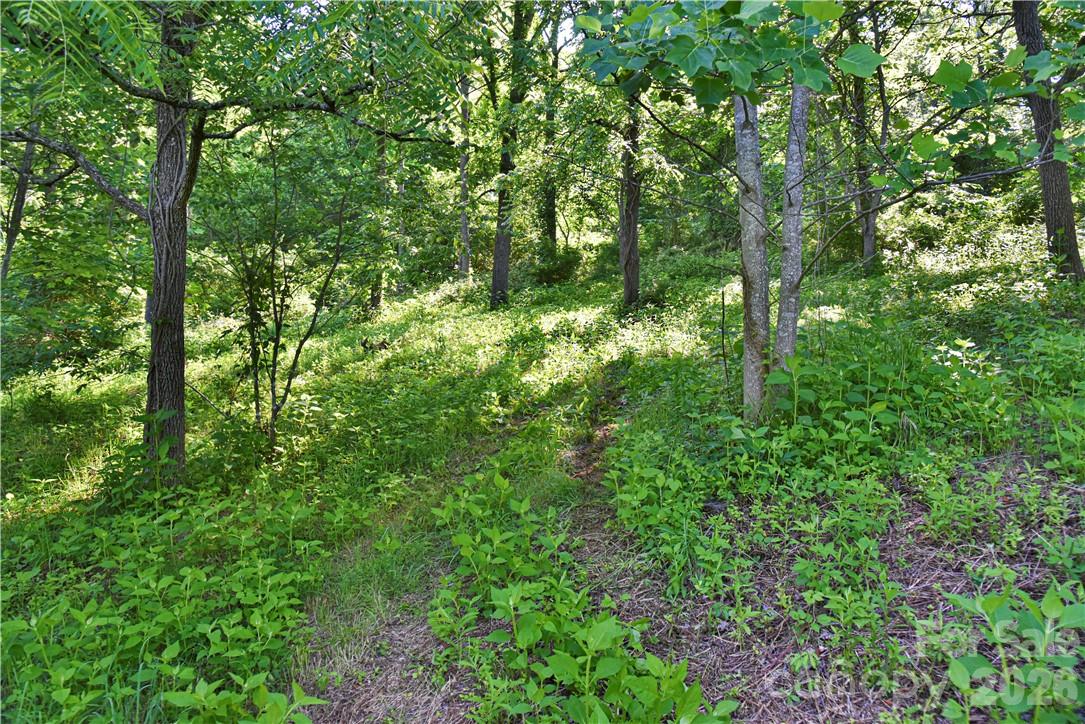415 Weaverville Road 59 1/2 Pt 59 & Pt 60 Property Photo 27