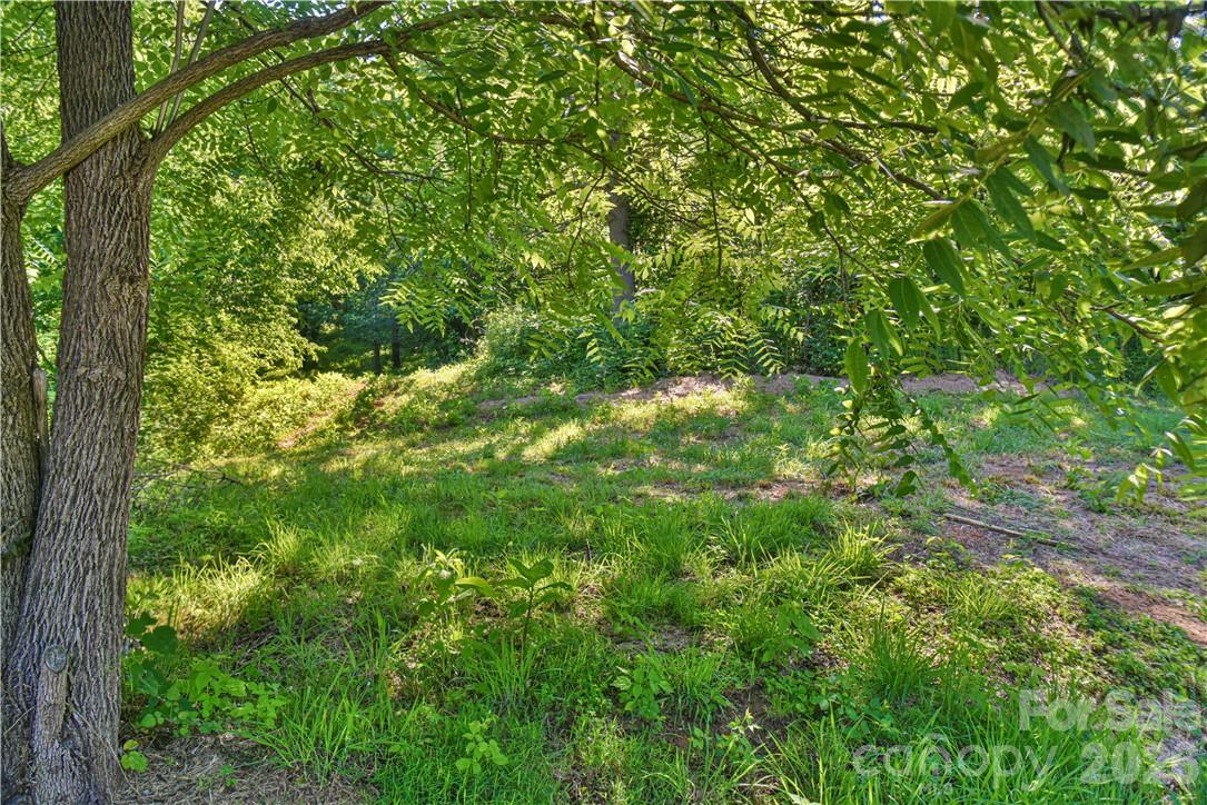 415 Weaverville Road 59 1/2 Pt 59 & Pt 60 Property Photo 28