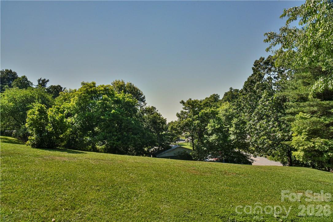 415 Weaverville Road 59 1/2 Pt 59 & Pt 60 Property Photo 31