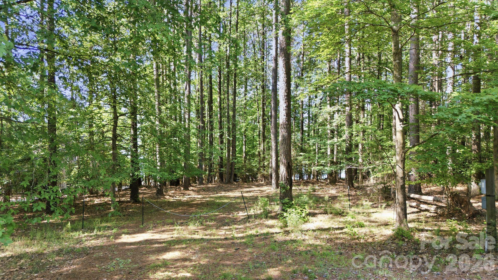 161 Eagle Chase Lane Property Photo 6