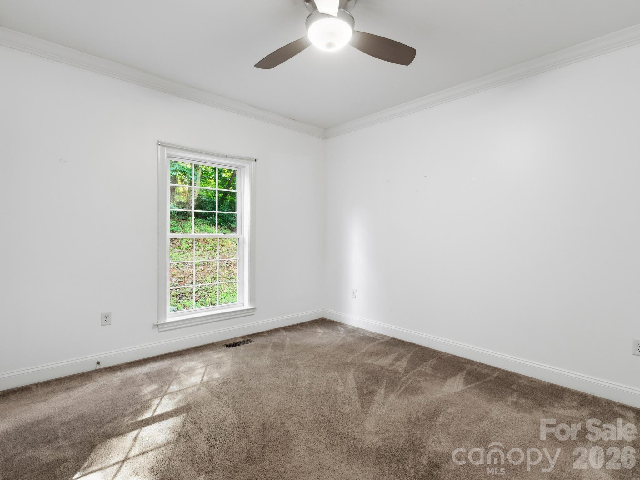 35 Cedar Farm Road Property Photo 19