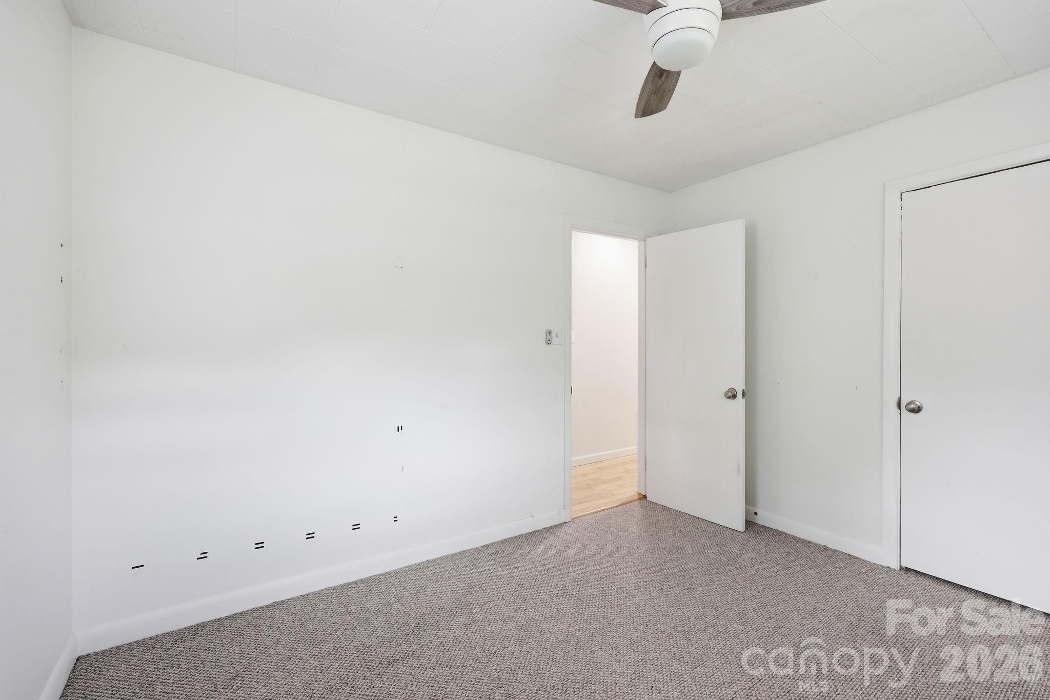31 Edwards Street Property Photo 19