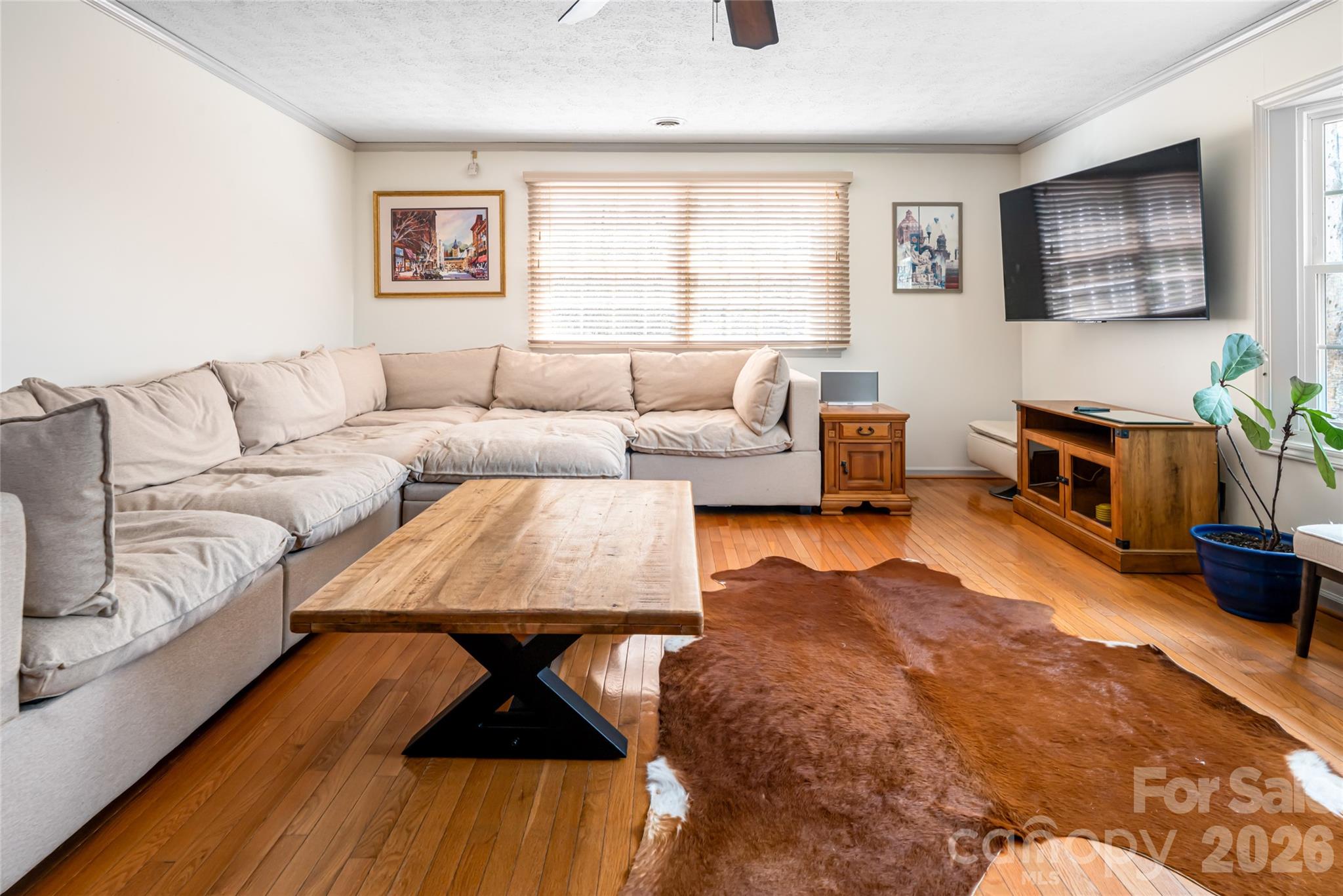 233 Church Road Property Photo 6