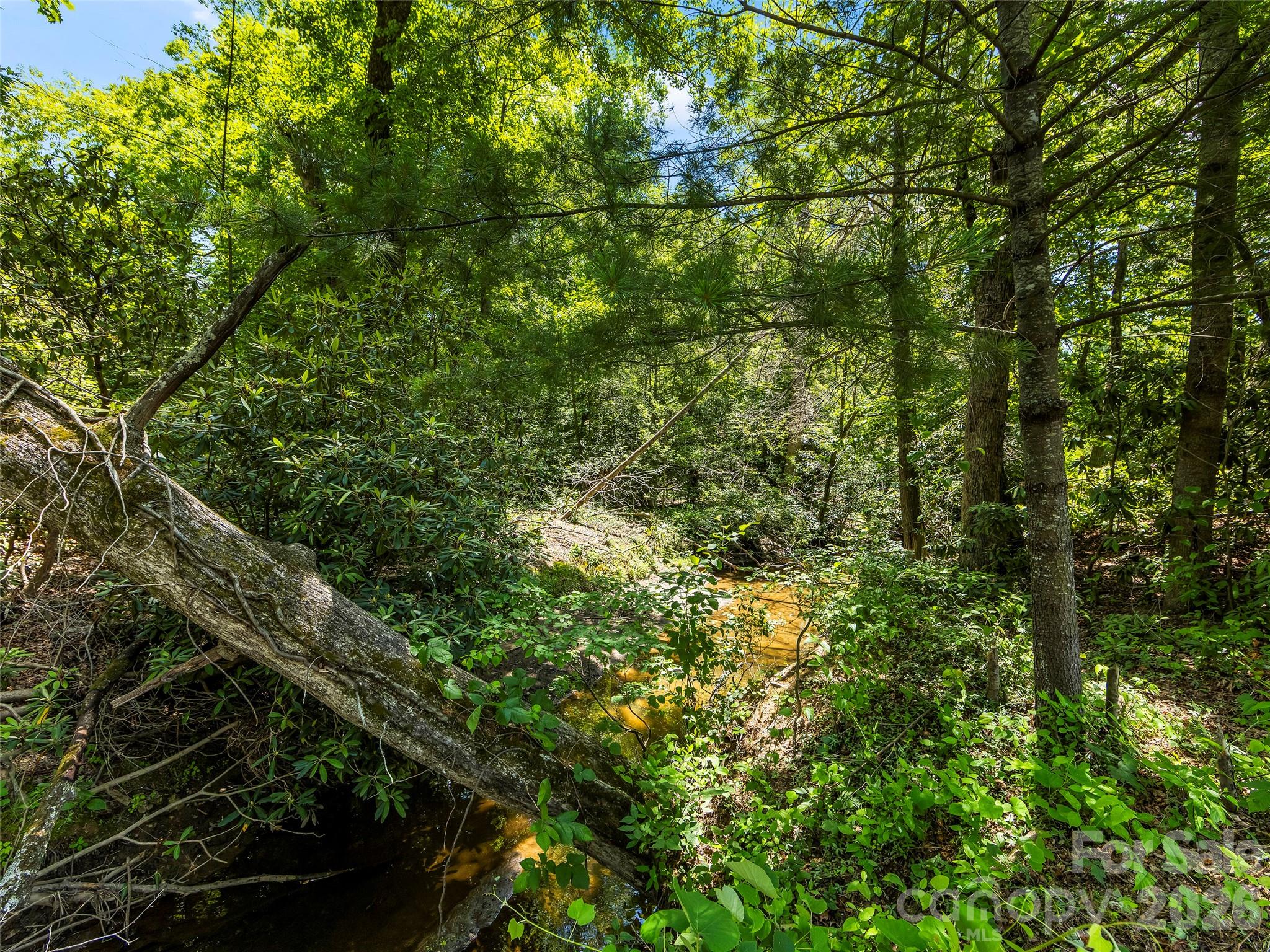 742 Hiawassee Avenue Property Photo 3
