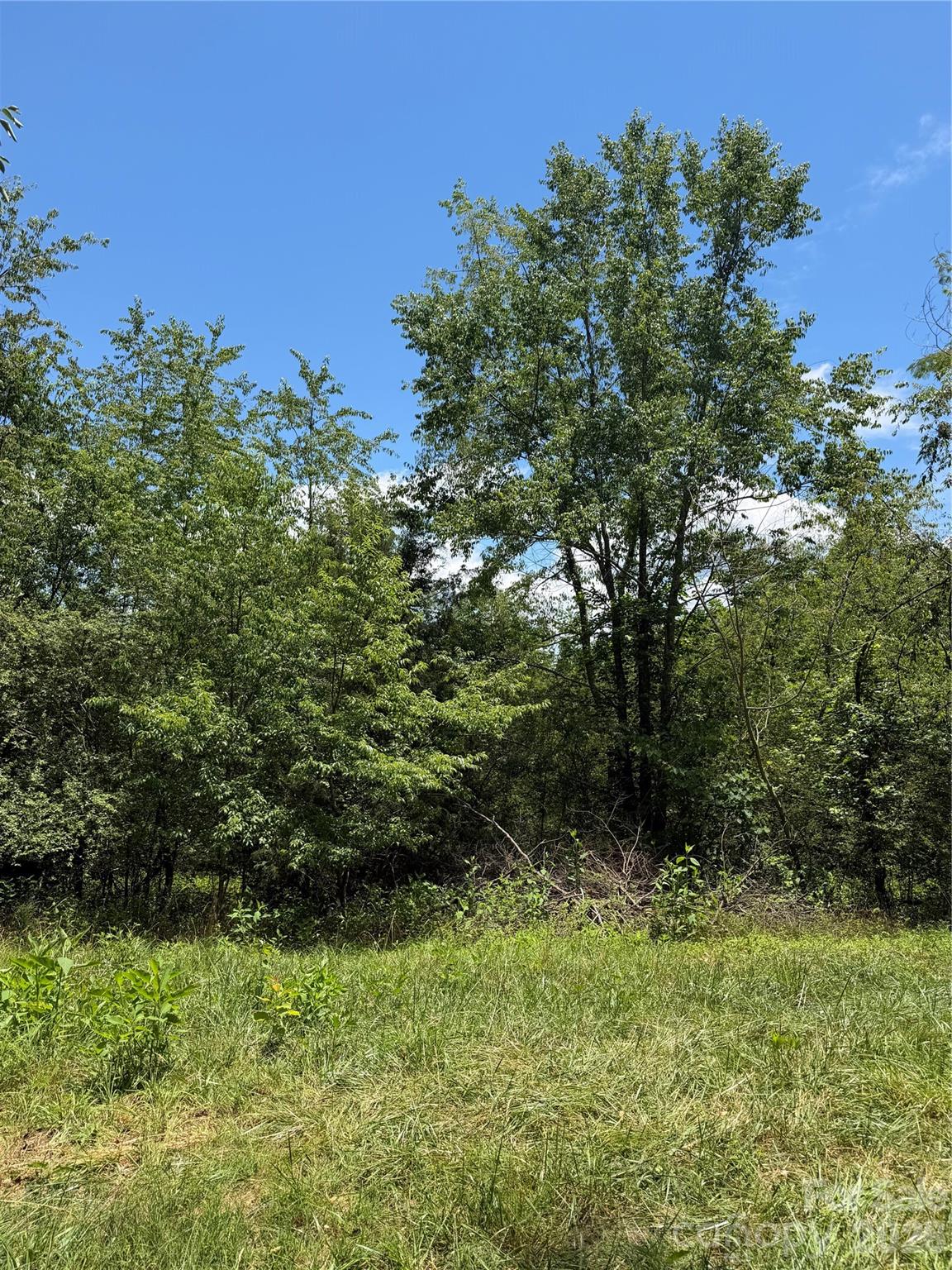 295 Old Mill Road Property Photo 6