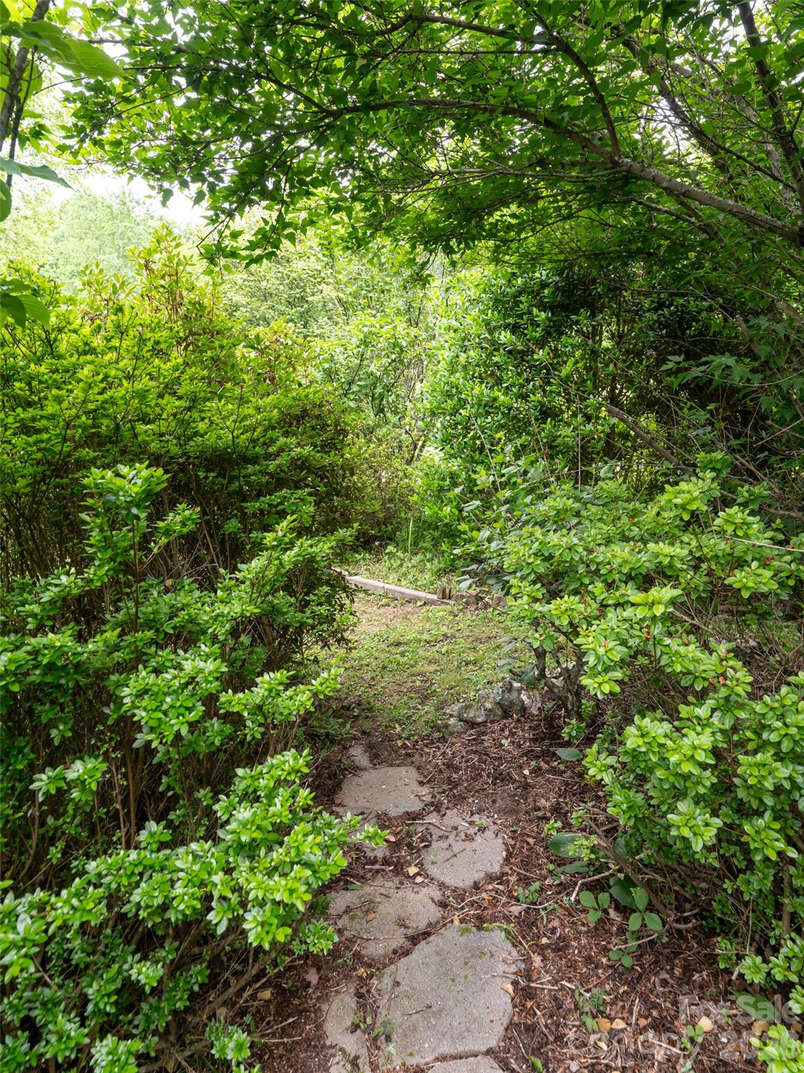243 Pioneer Ridge Road Property Photo 42