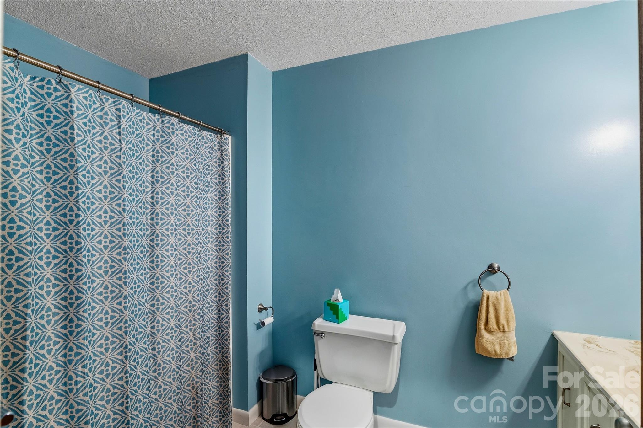 1574 Cashiers Valley Road Property Photo 27