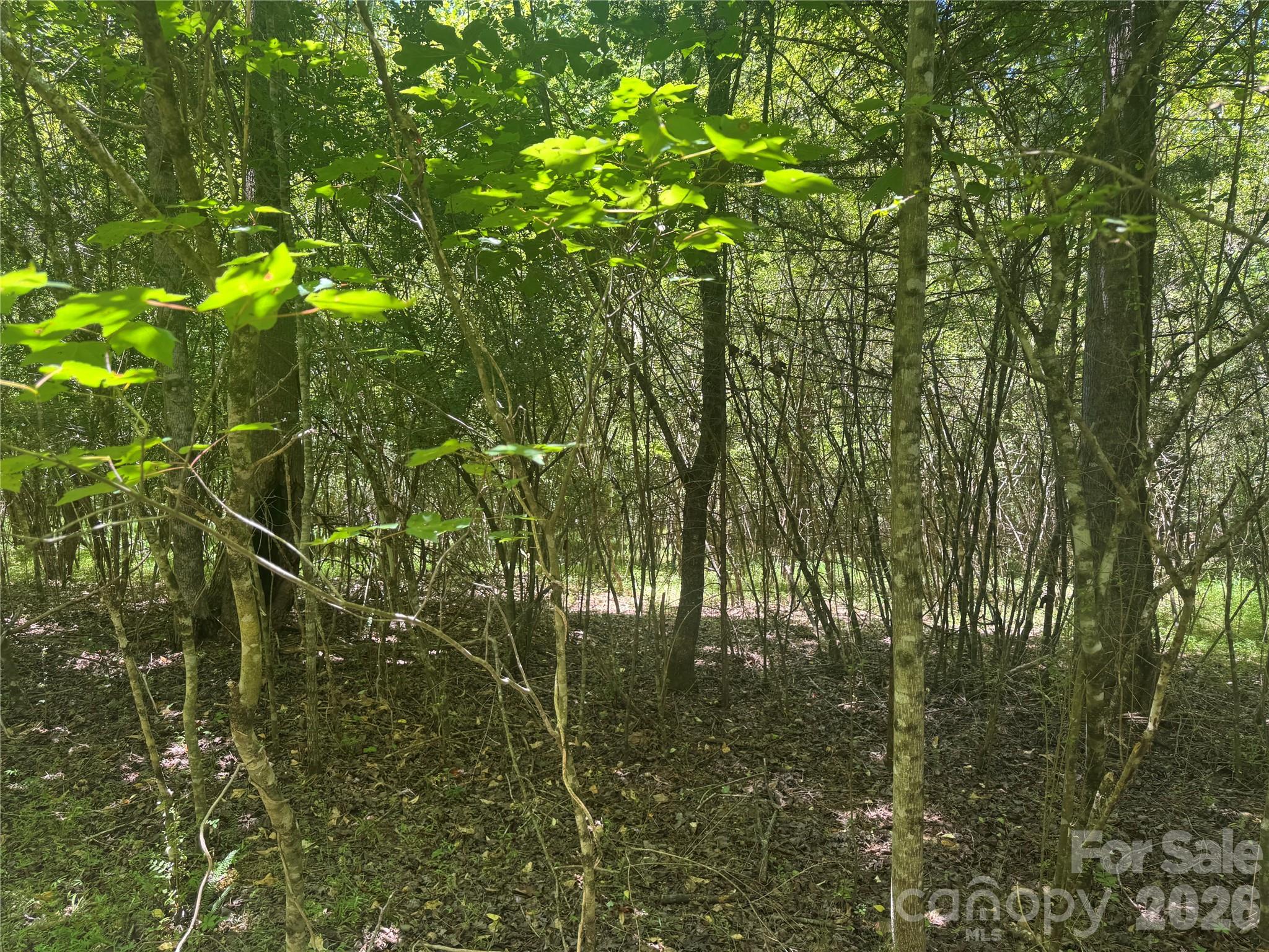 00 Desota Ridge 362 Property Photo 6