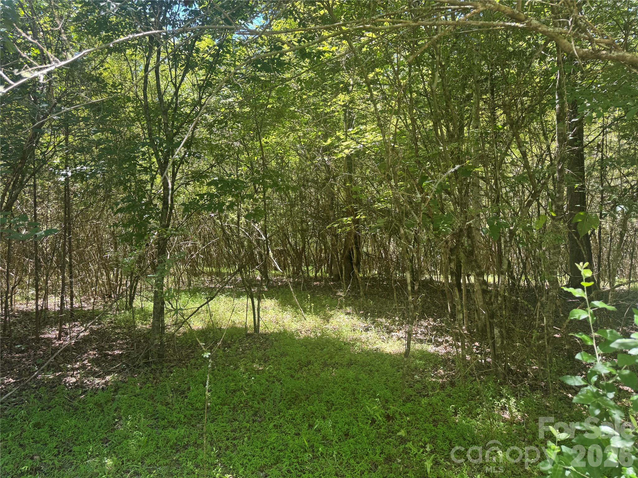 00 Desota Ridge 362 Property Photo 7