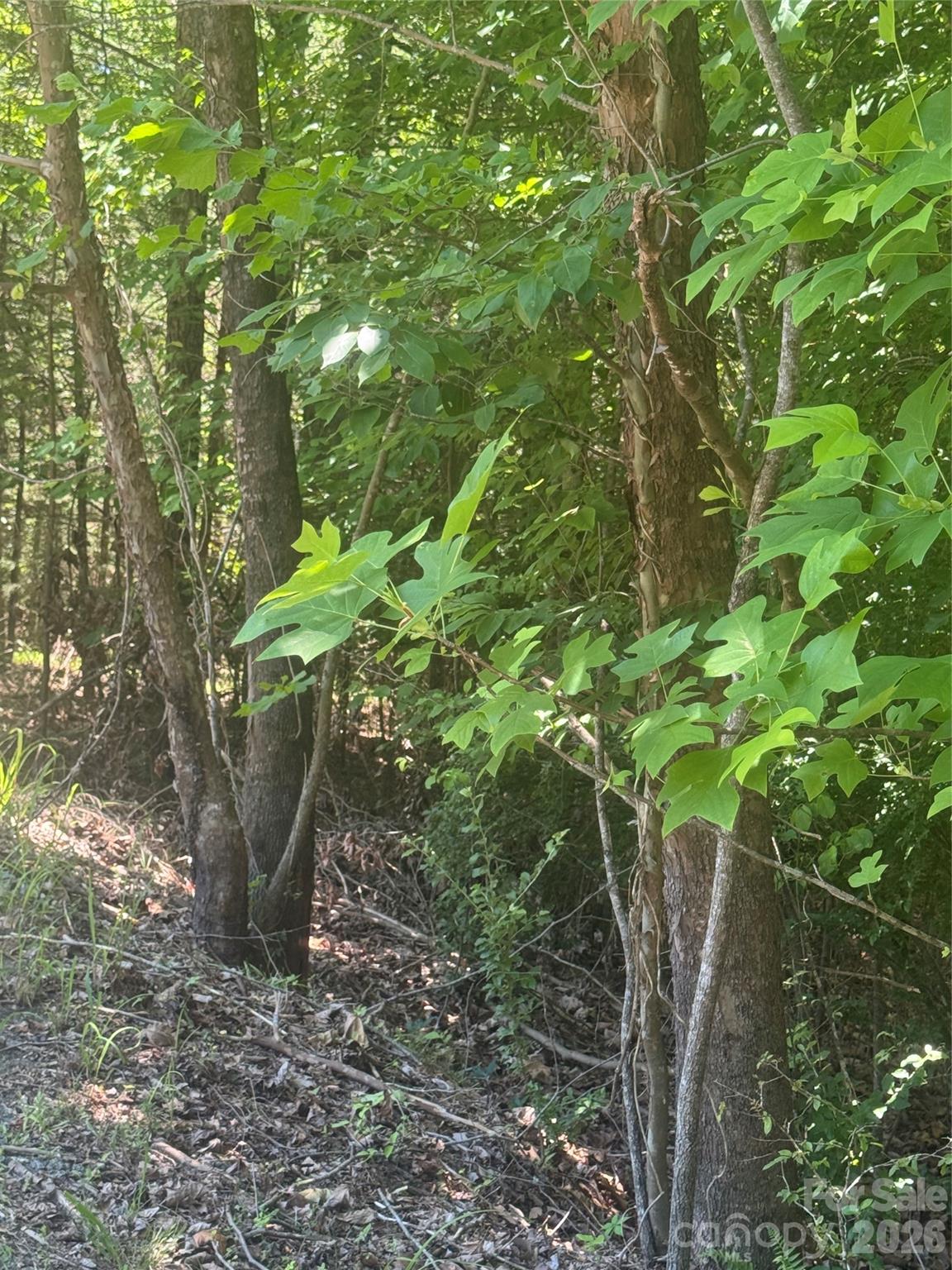 00 Desota Ridge 362 Property Photo 8