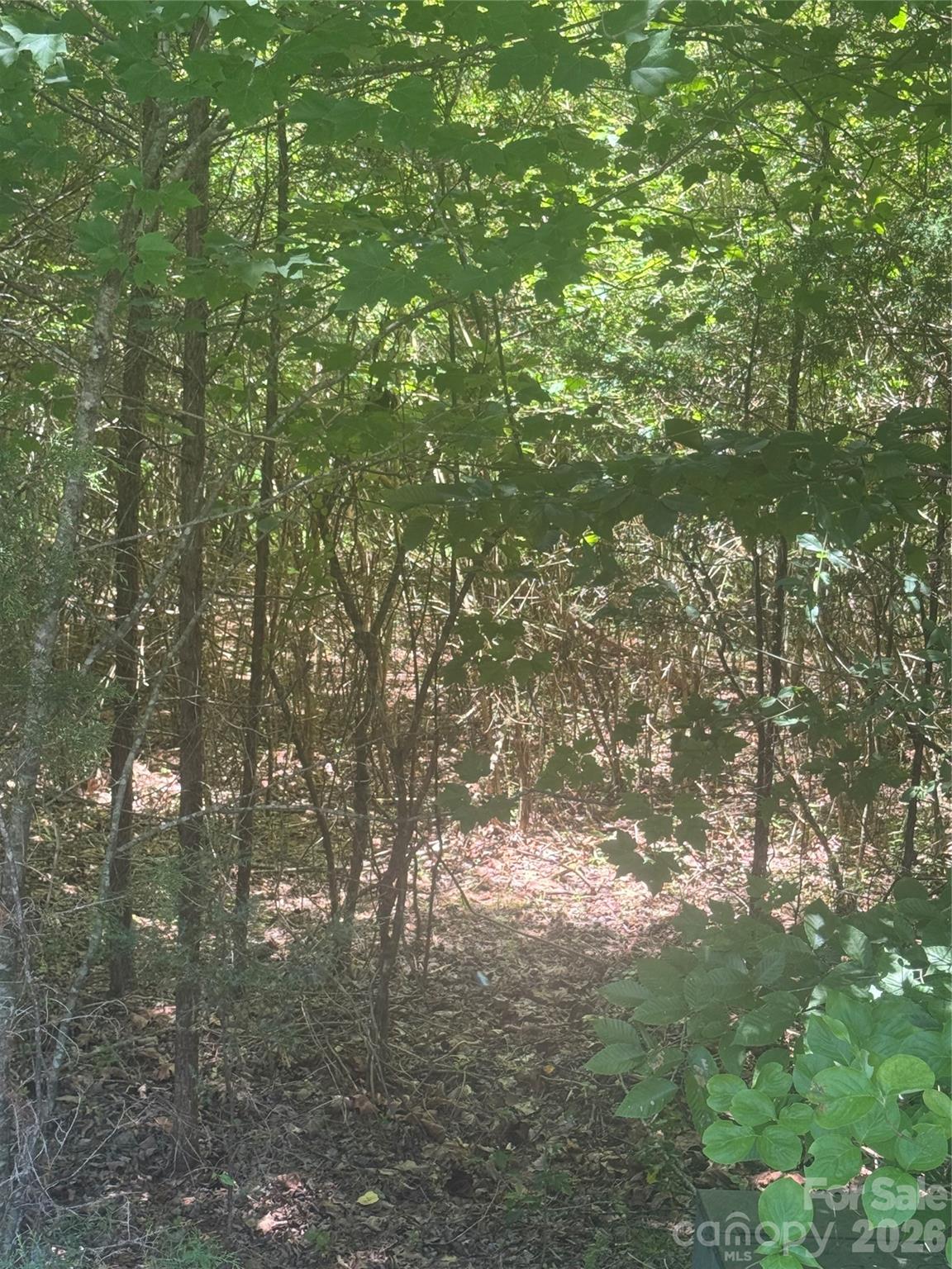 00 Desota Ridge 362 Property Photo 9