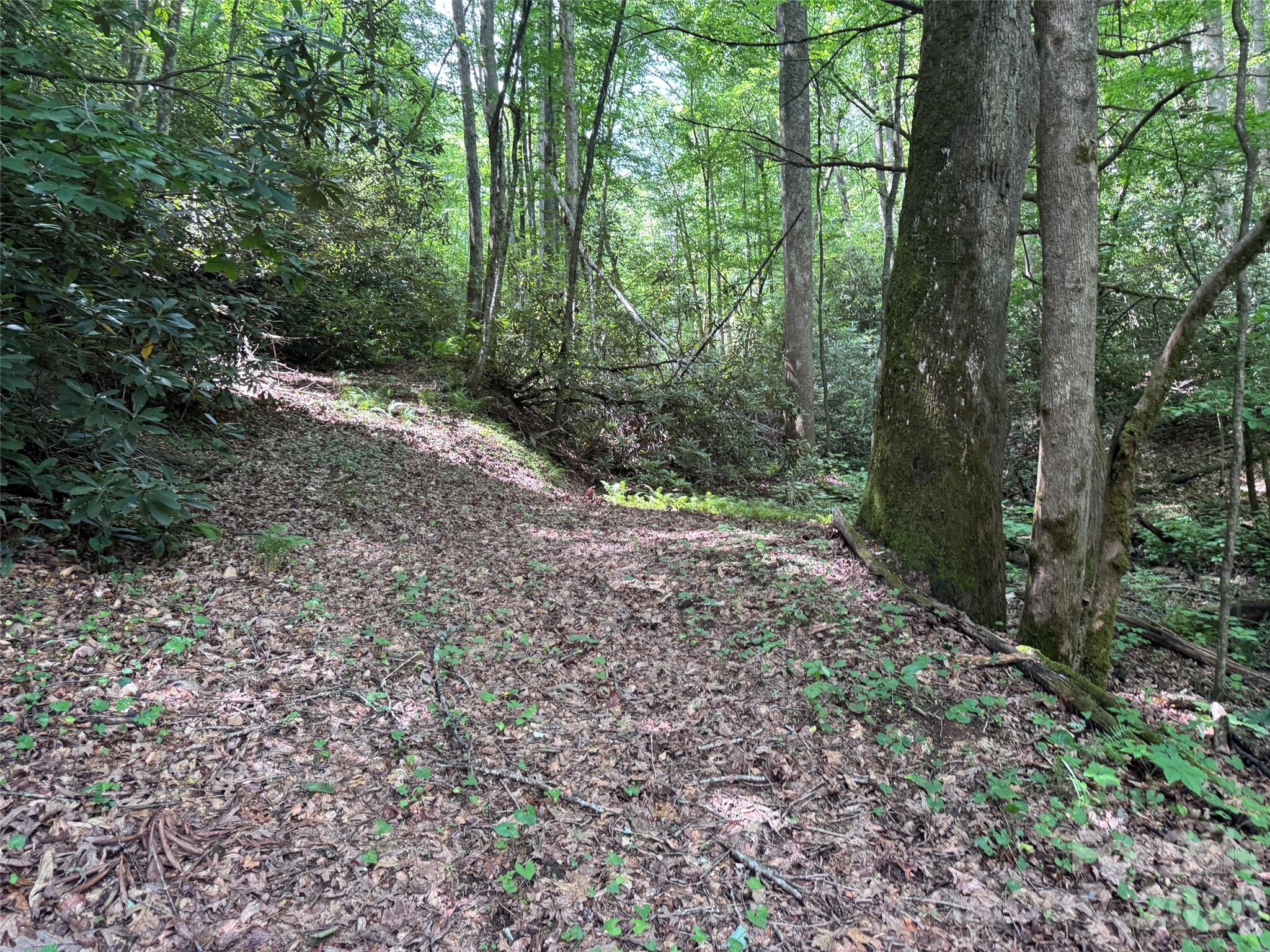 10a Reserve Road Property Photo 2