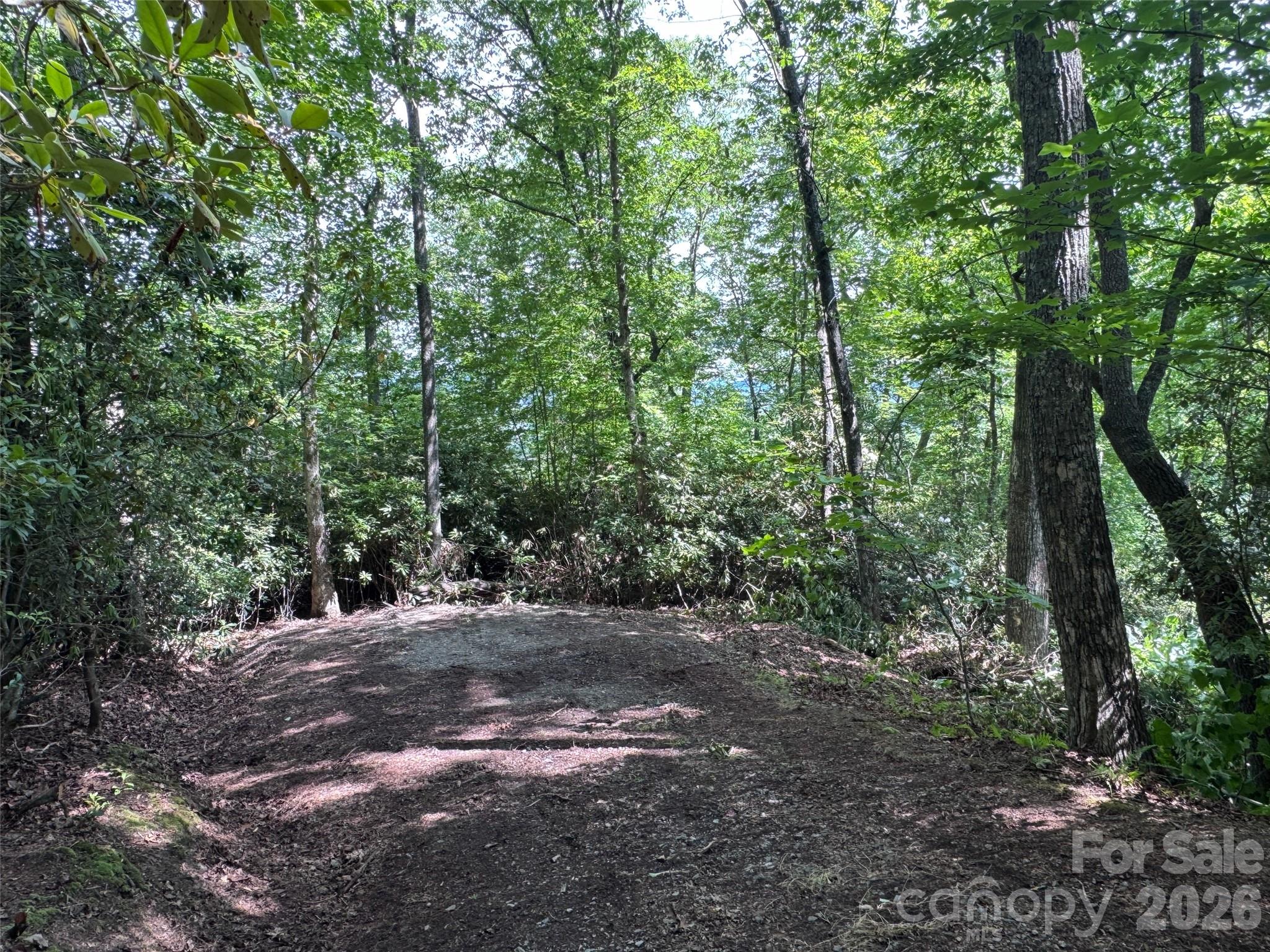 10a Reserve Road Property Photo 3