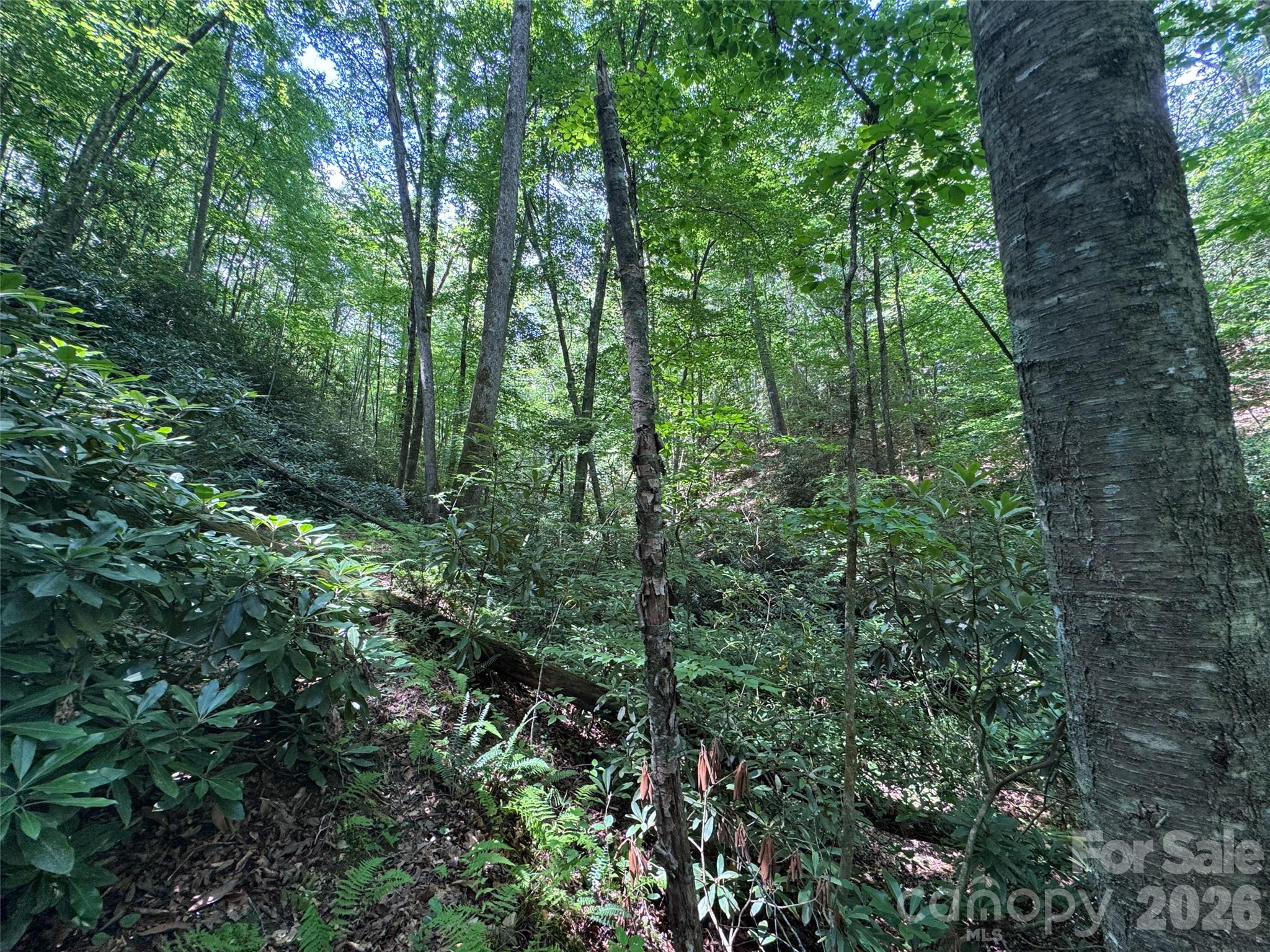 10a Reserve Road Property Photo 6