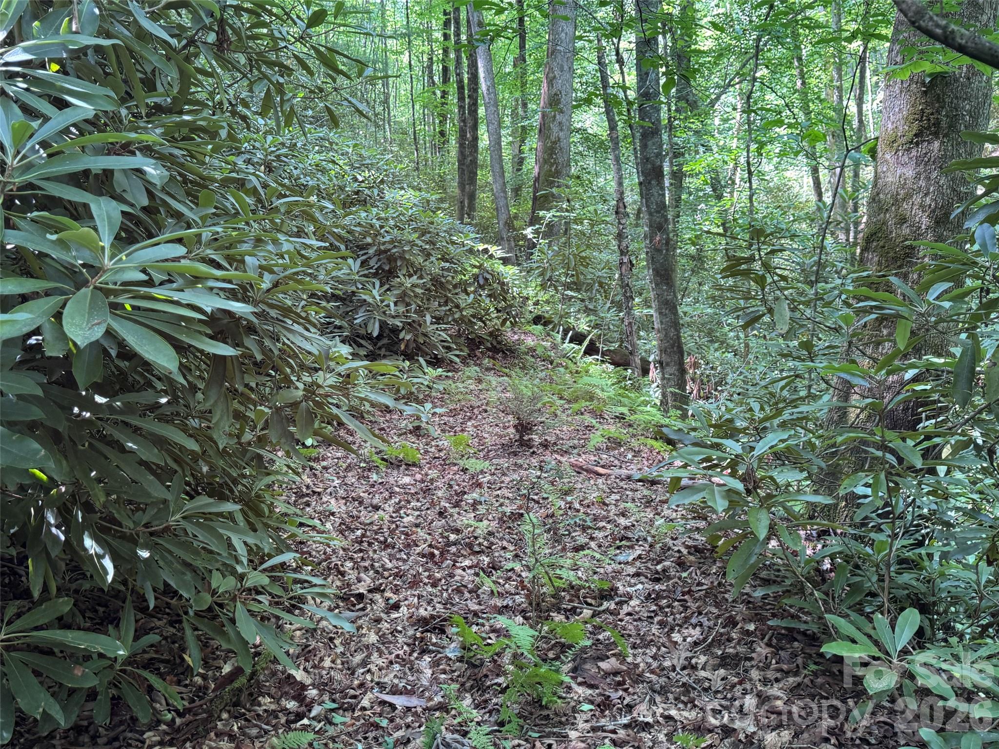 10a Reserve Road Property Photo 9
