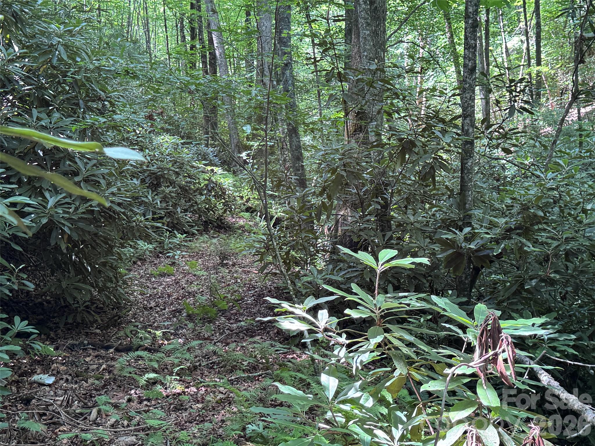10a Reserve Road Property Photo 10