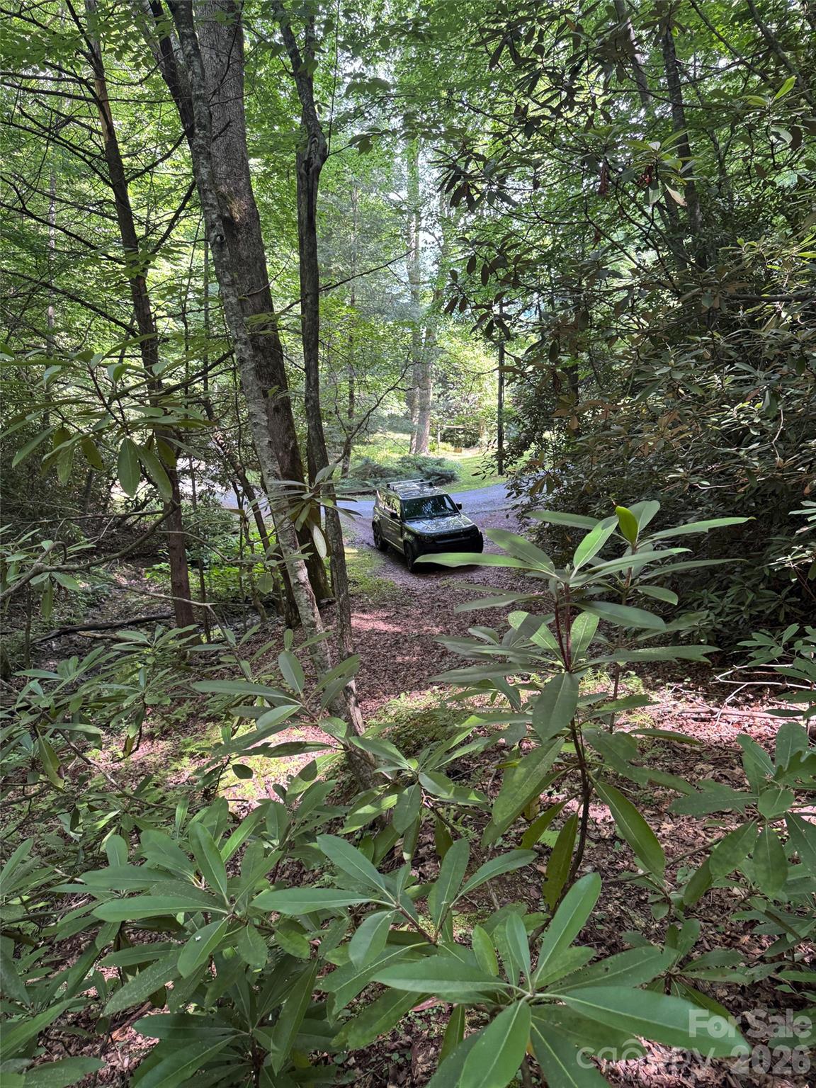 10a Reserve Road Property Photo 12