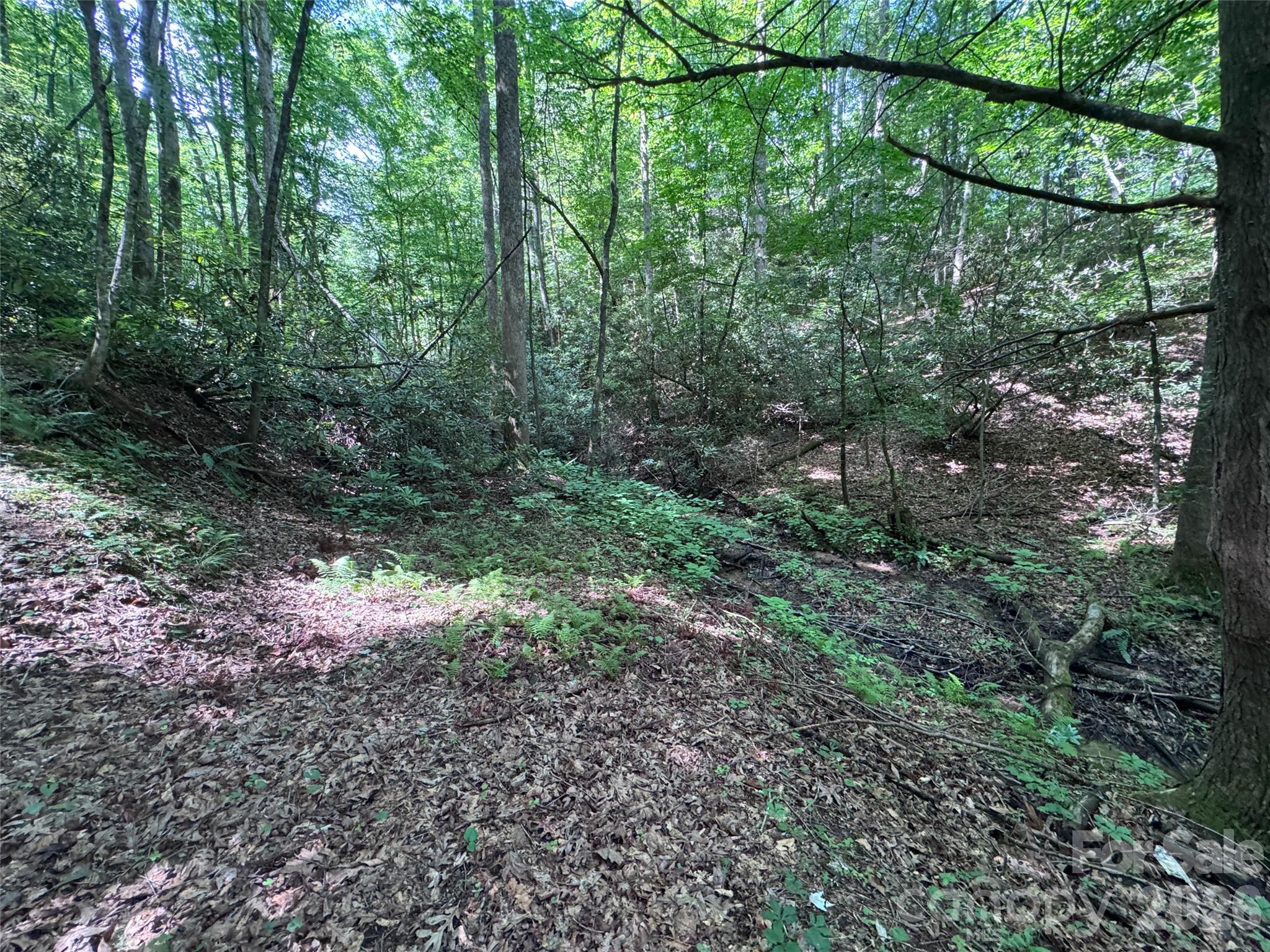 10a Reserve Road Property Photo 15