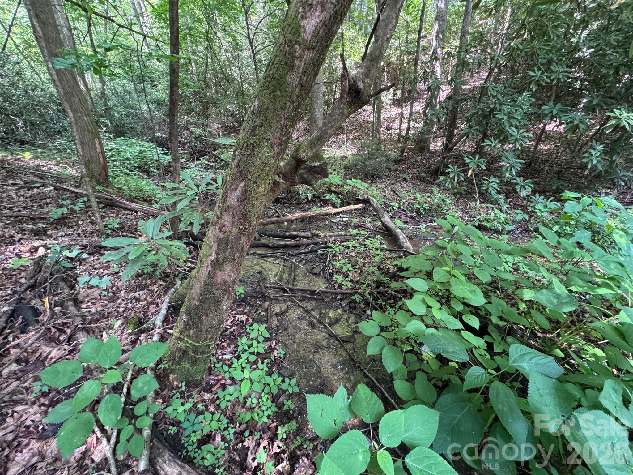 10a Reserve Road Property Photo 16