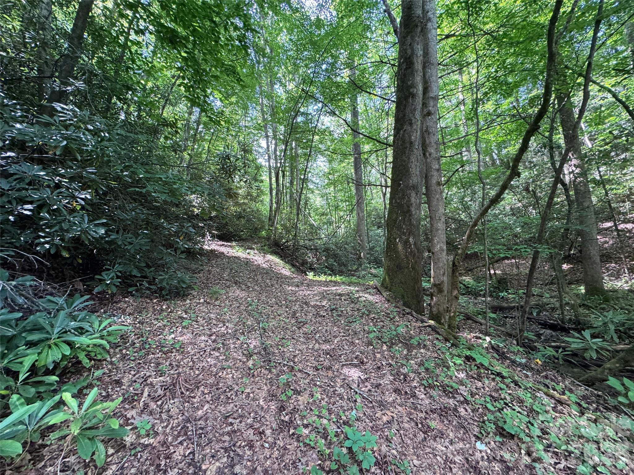 10a Reserve Road Property Photo 17