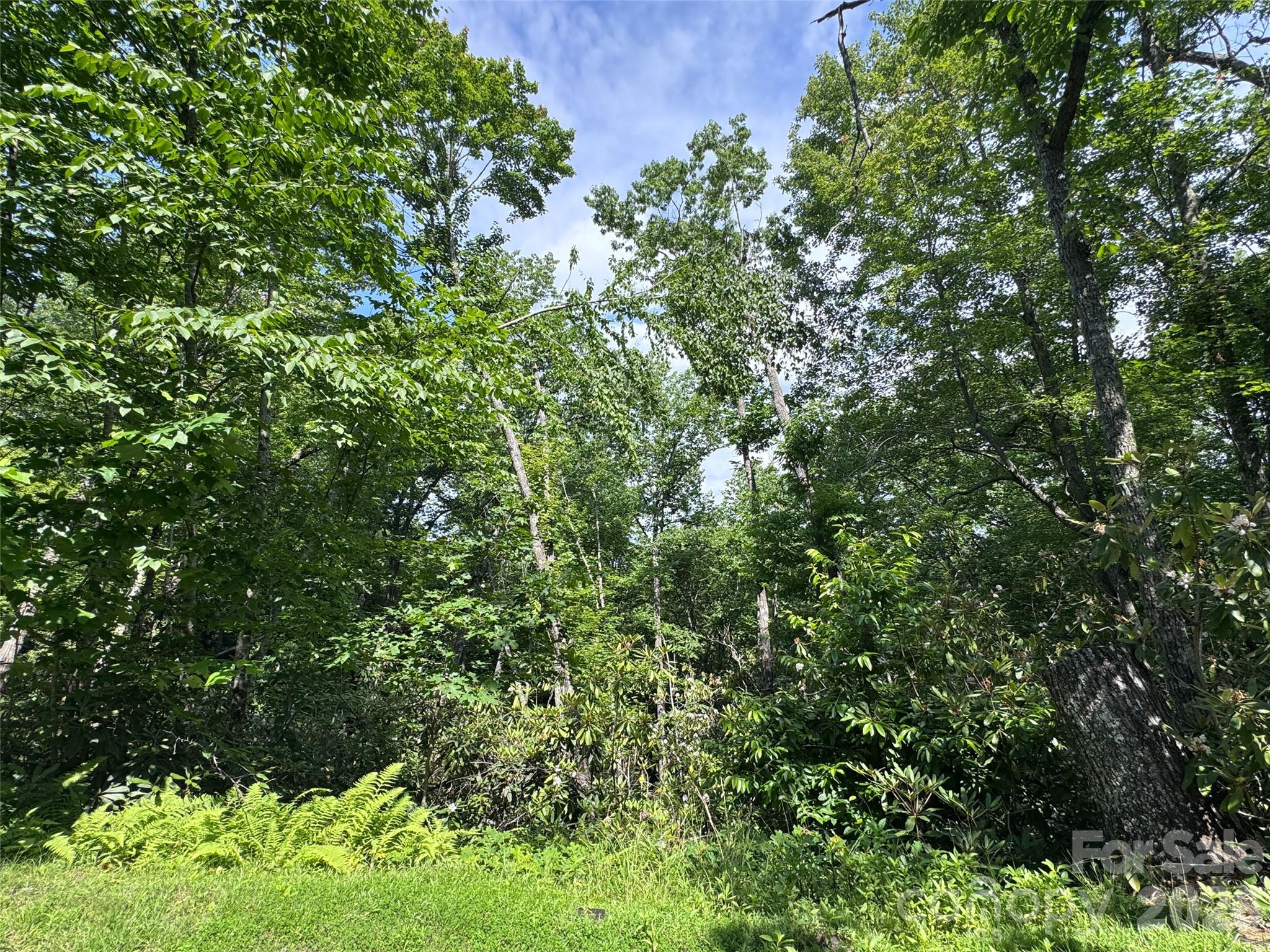10a Reserve Road Property Photo 18