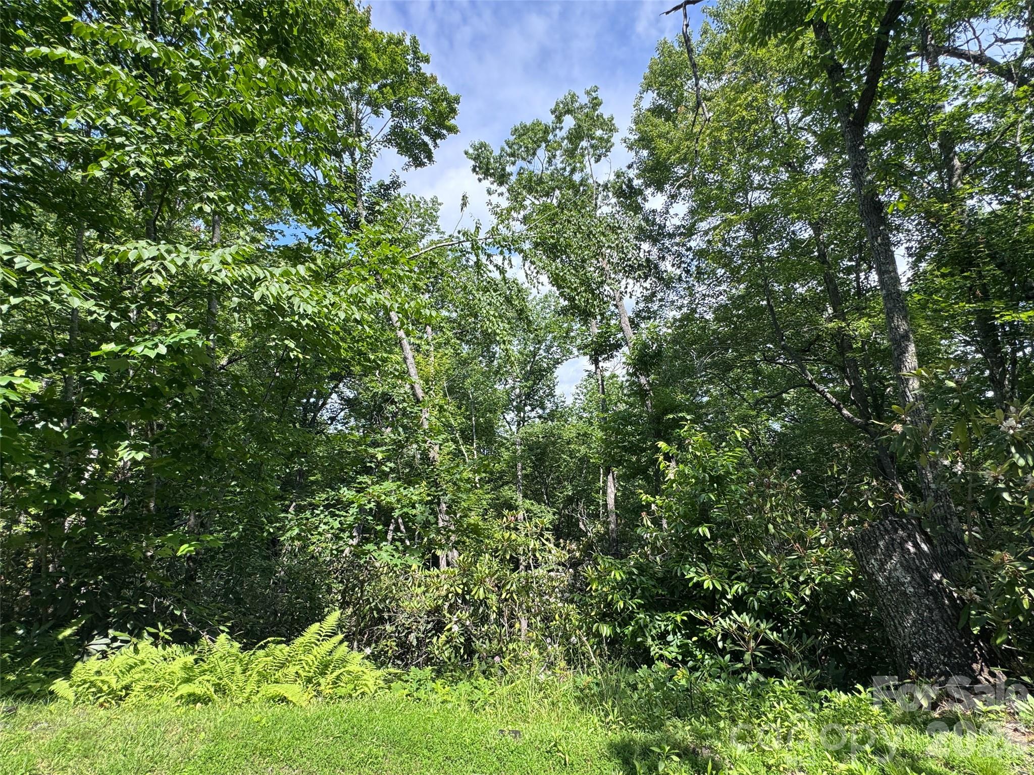 10a Reserve Road Property Photo 19