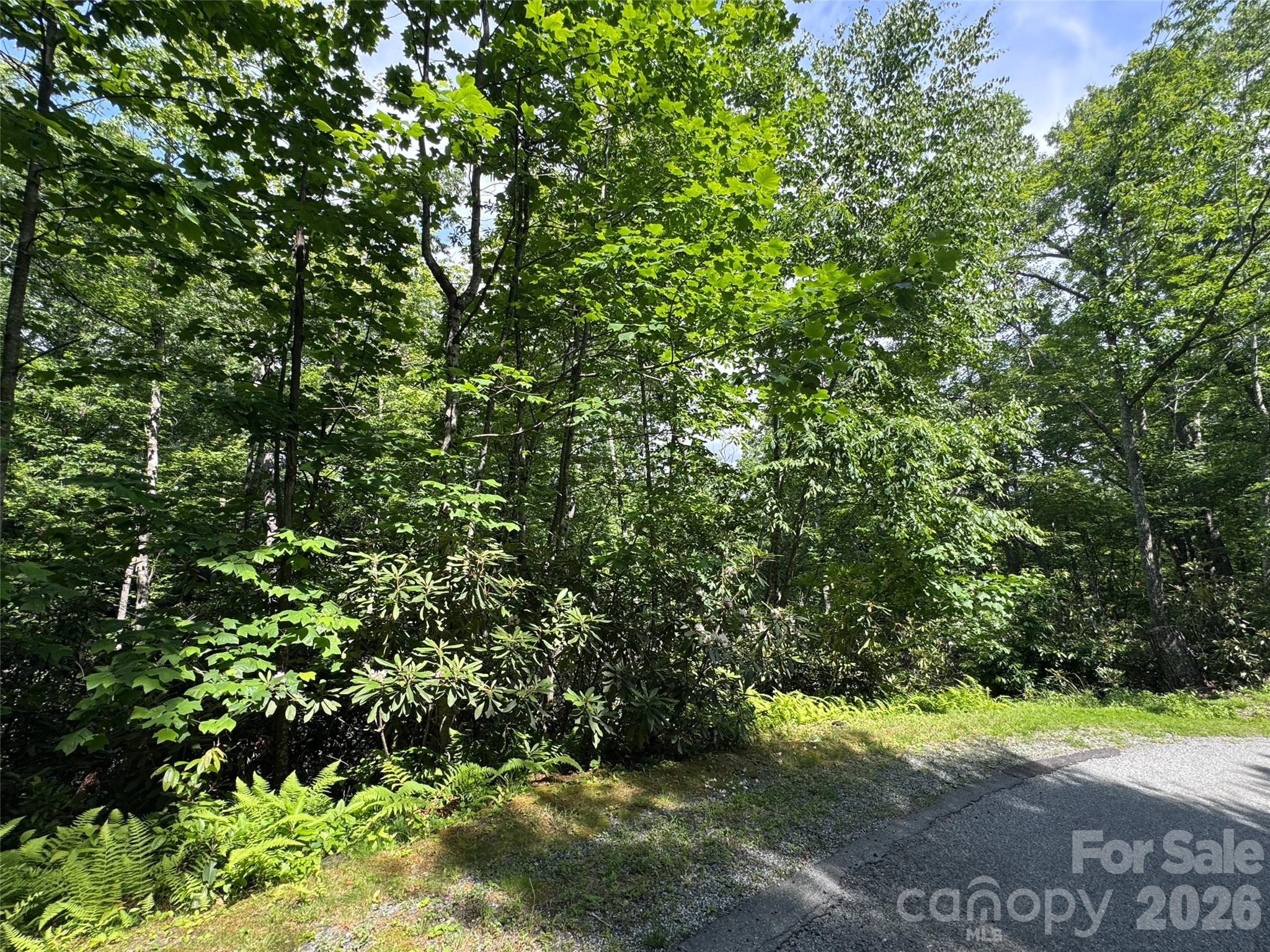 10a Reserve Road Property Photo 20