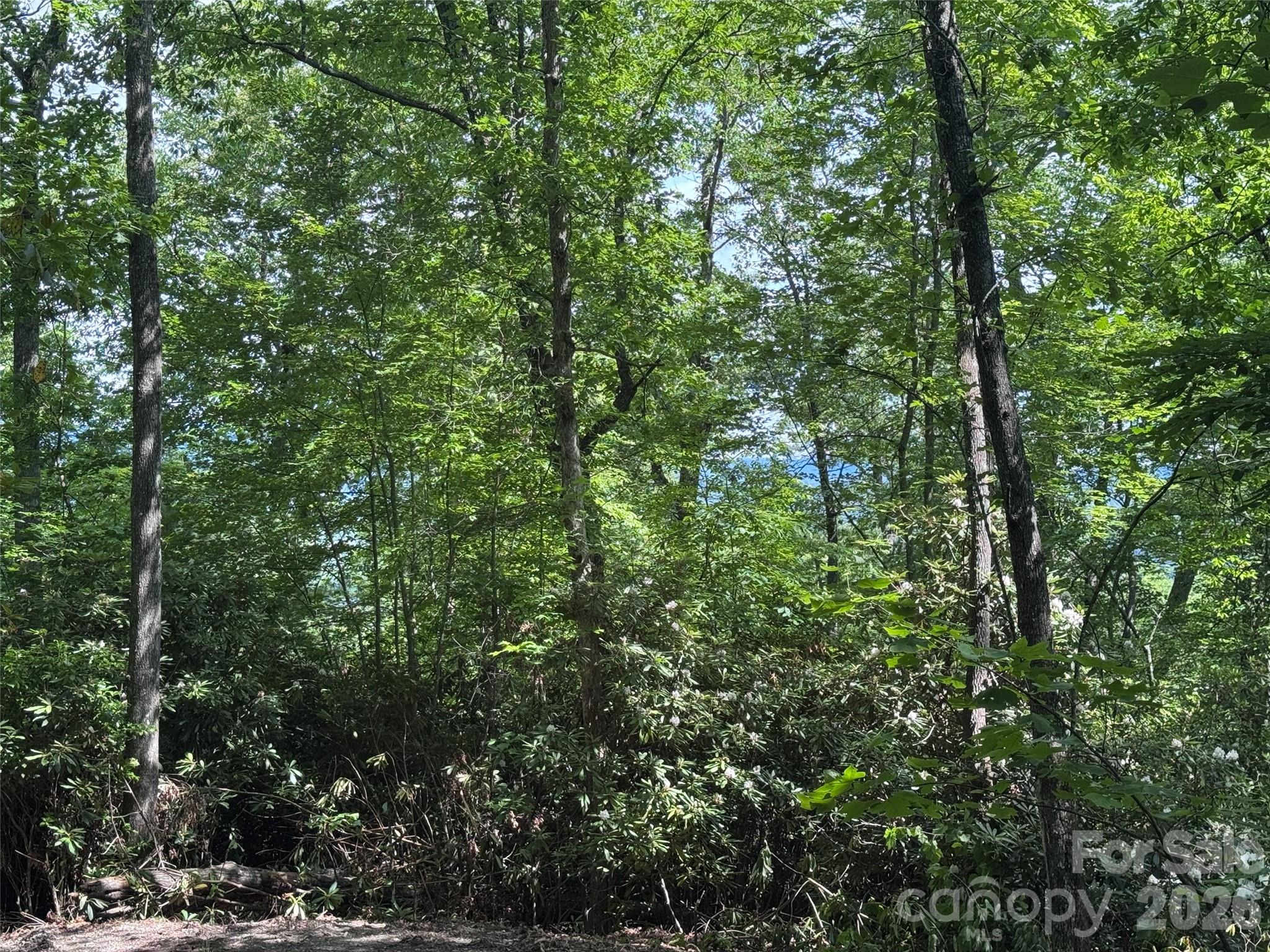 10a Reserve Road Property Photo 22