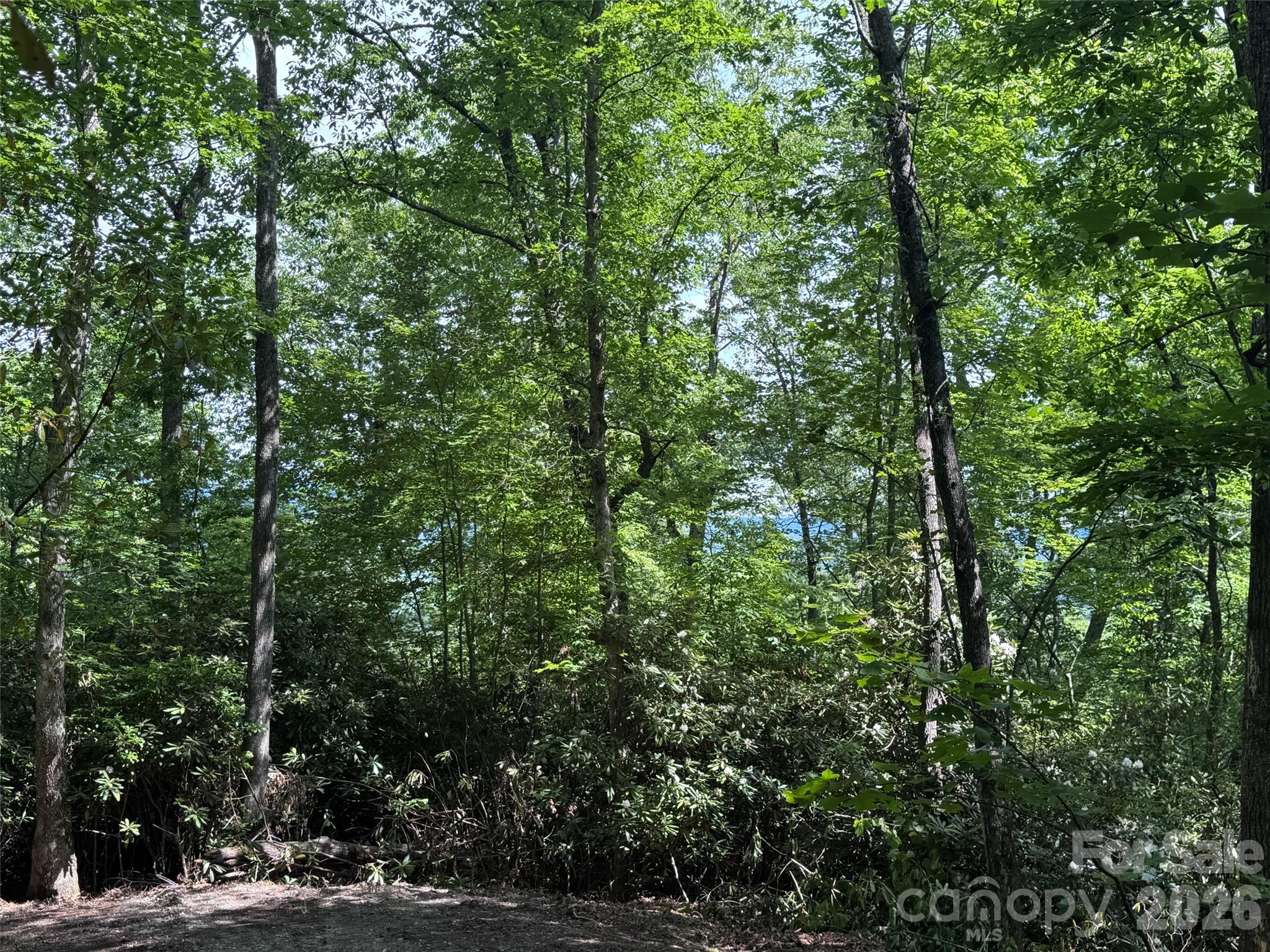 10a Reserve Road Property Photo 23
