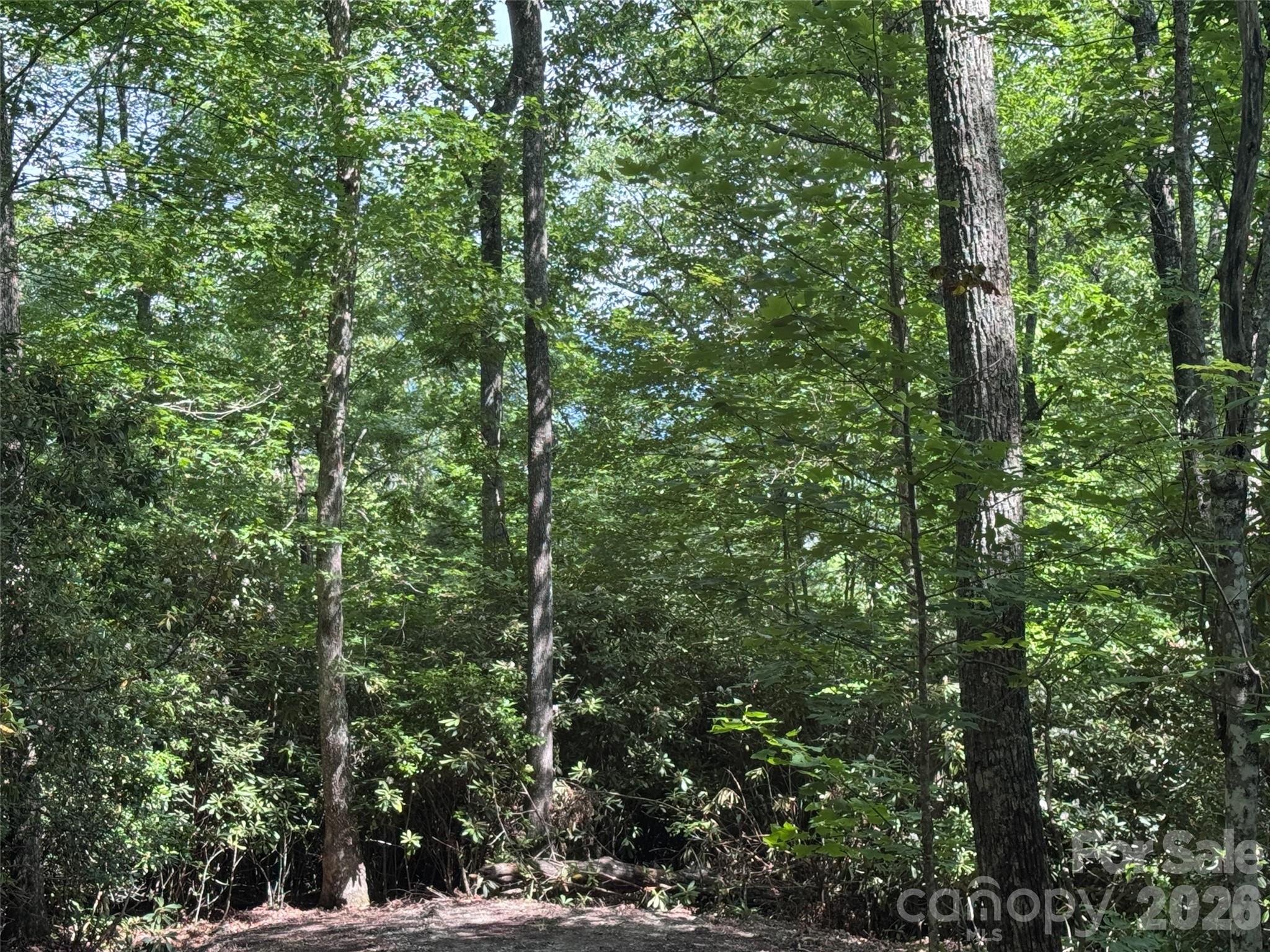 10a Reserve Road Property Photo 25